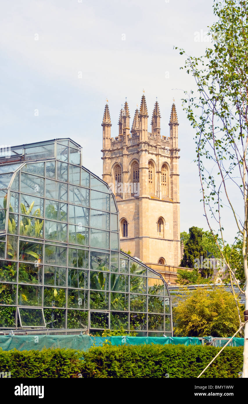 Greenhouse in the Botanical Gardens, Oxford, England, with the tower of Magdalen College in the background Stock Photo
