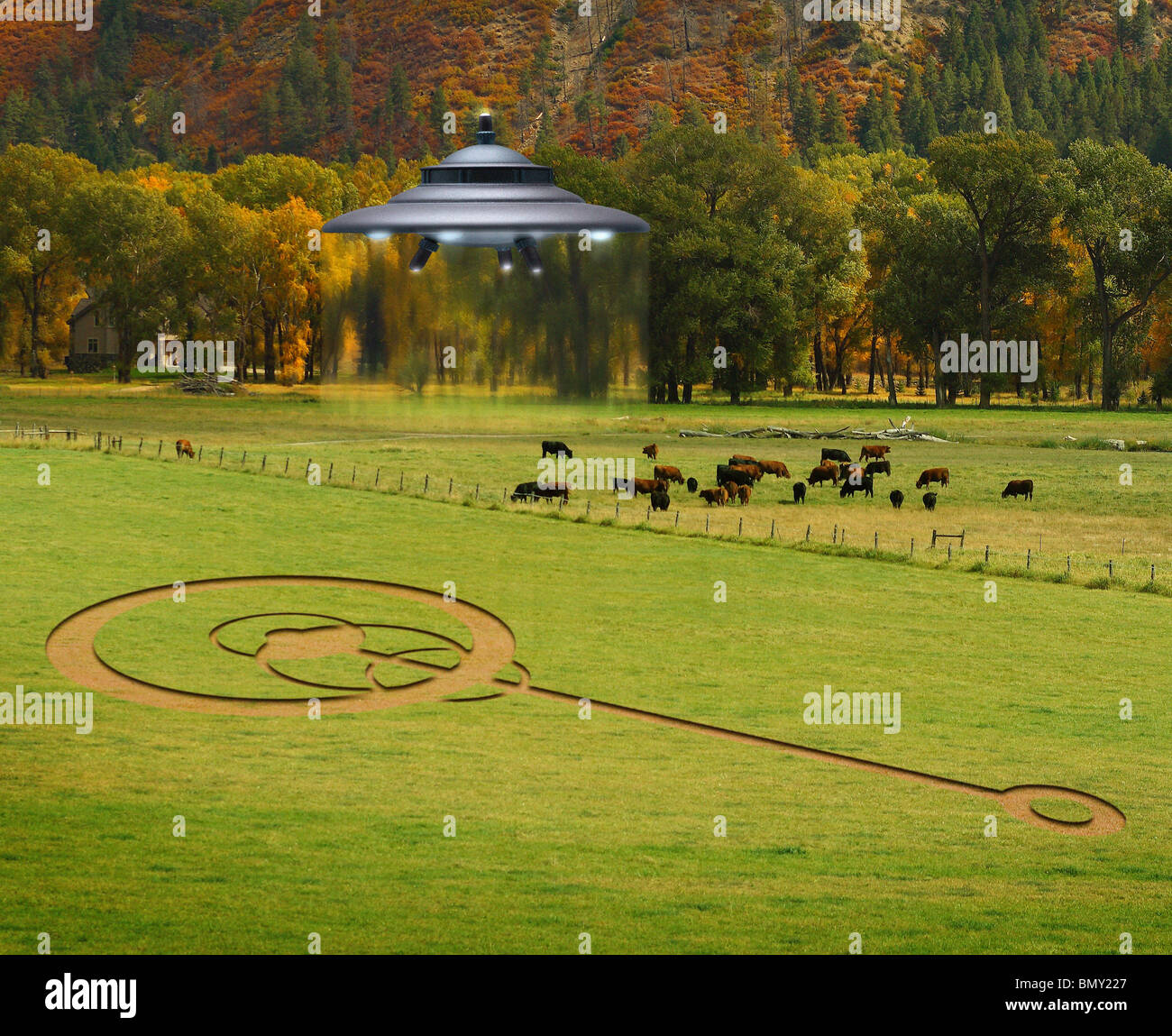 UFO hovering over cattle & crop circle Stock Photo