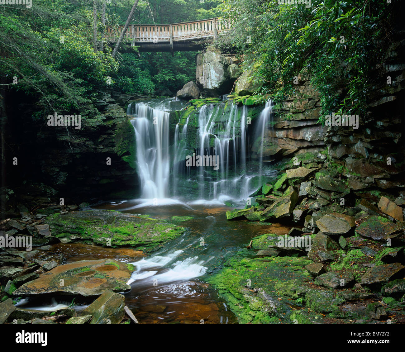 Blackwater Falls State Park Wv A Walking Bridge Over Elakala