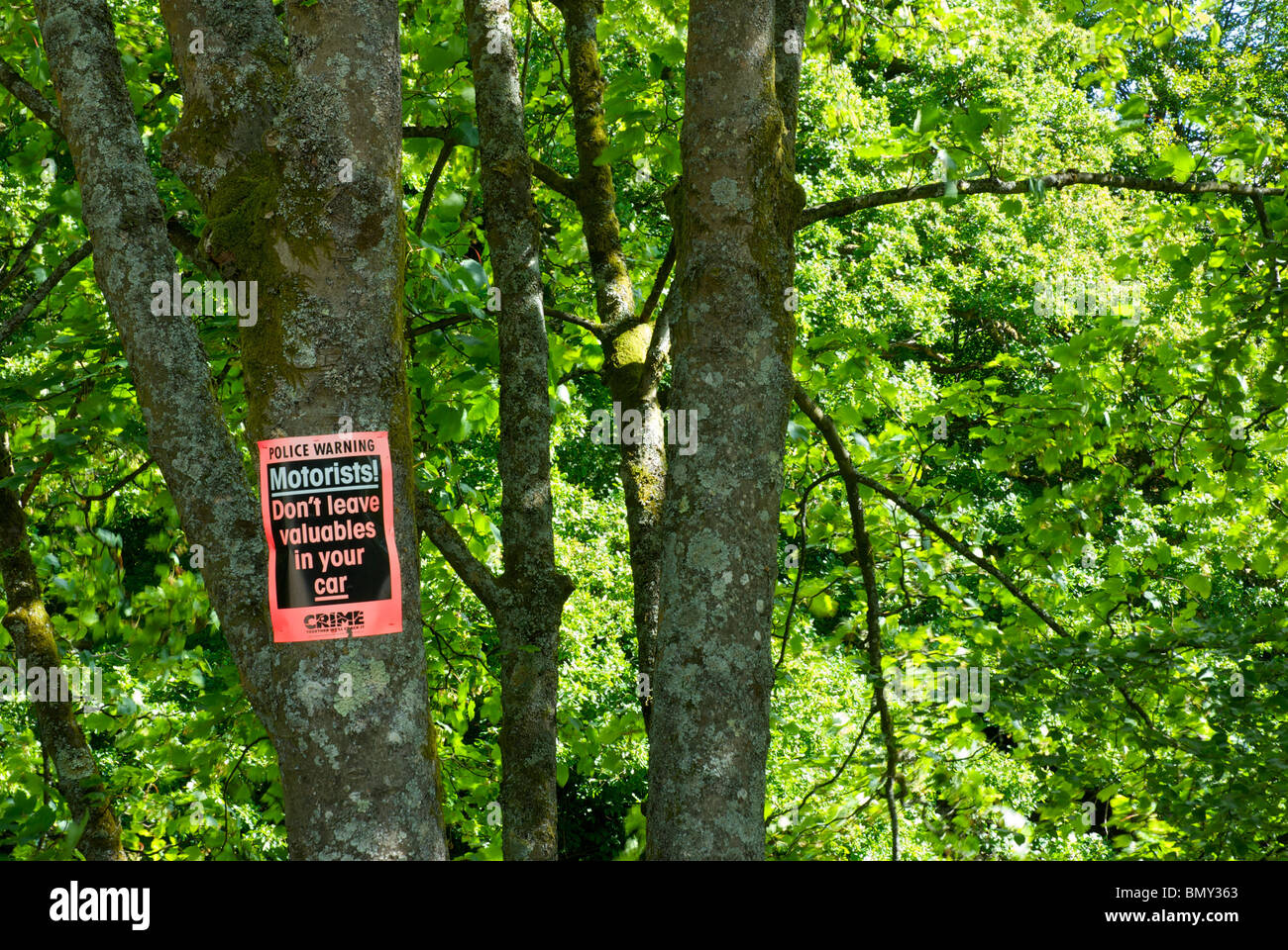 Sign on tree - Motorists, Don't leave valuables in your car - Lake District National Park, Cumbria, England UK Stock Photo