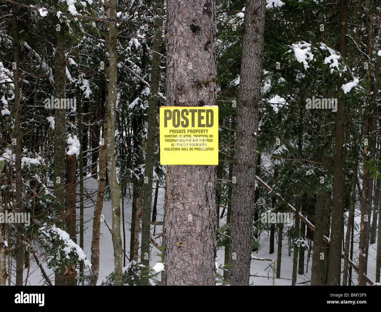 A yellow private property sign on a tree in the woods during winter Stock Photo