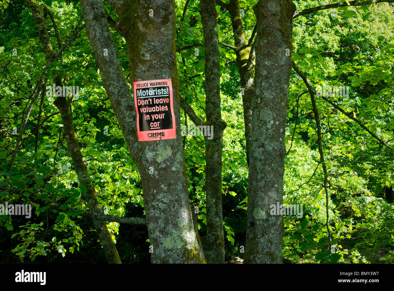 Sign on tree - Motorists, Don't leave valuables in your car - Lake District National Park, Cumbria, England UK Stock Photo