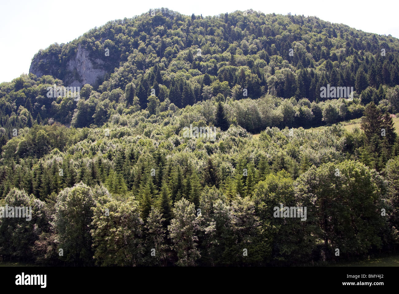Steep Slopes High Resolution Stock Photography and Images - Alamy