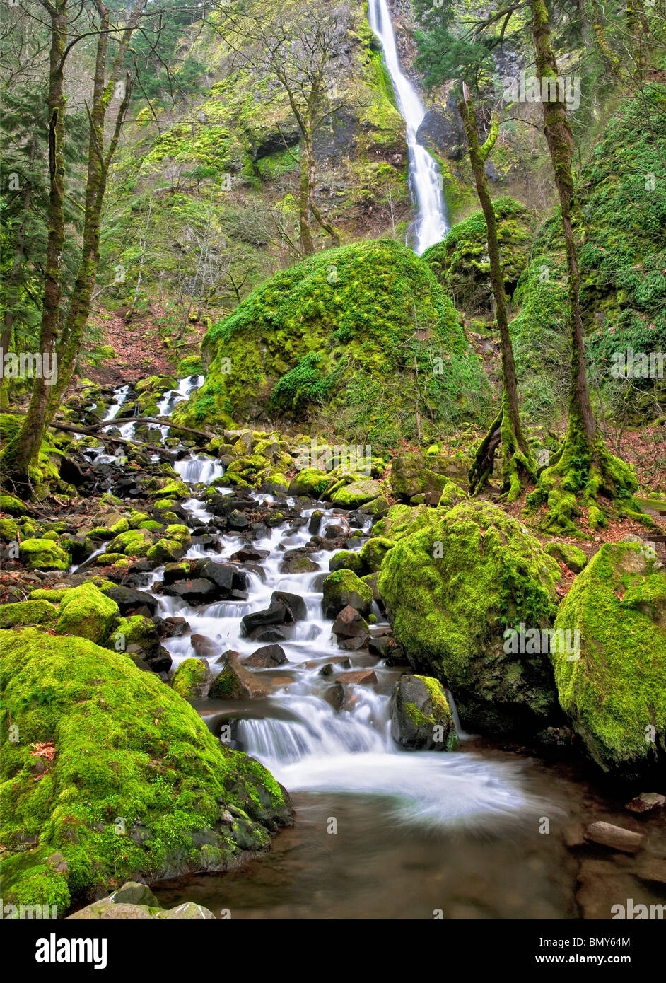 Starvation Creek Falls with mossy rocks. Columbia River Gorge National Scenic Area, Oregon Stock Photo