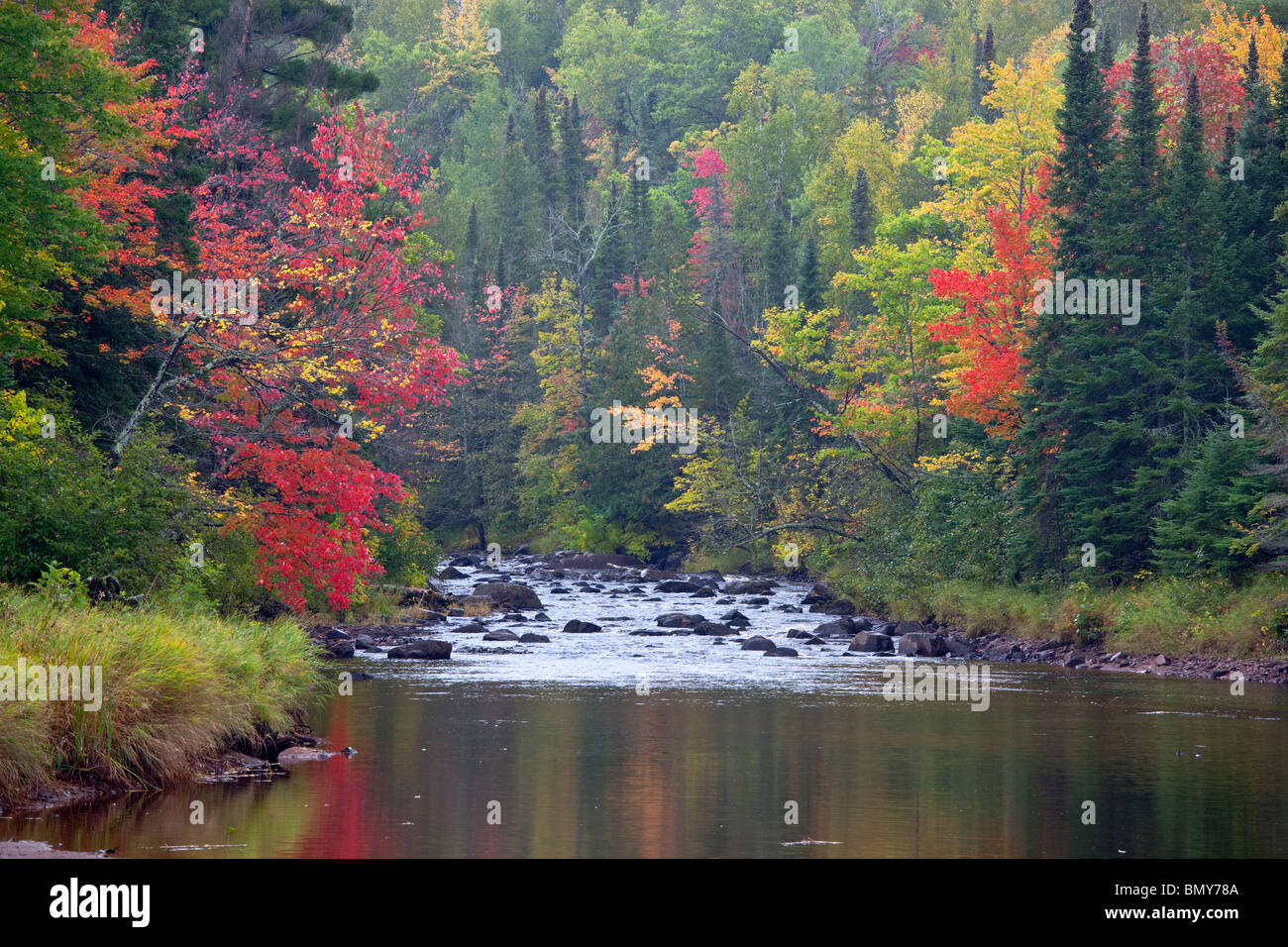 Pattison State Park, WI Black River flowing through the the Northwoods hardwood forest in early autumn Stock Photo