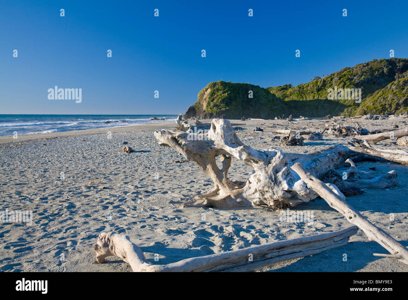 Driftwood on Ship Creek Beach,west coast of south island,new zealand