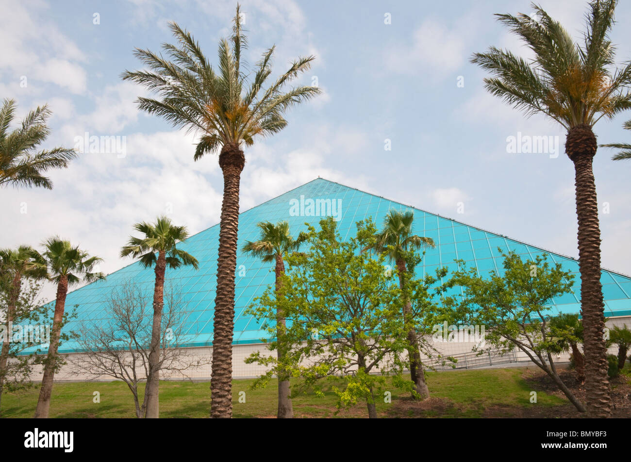 Texas Galveston Moody Gardens Aquarium Pyramid Stock Photo