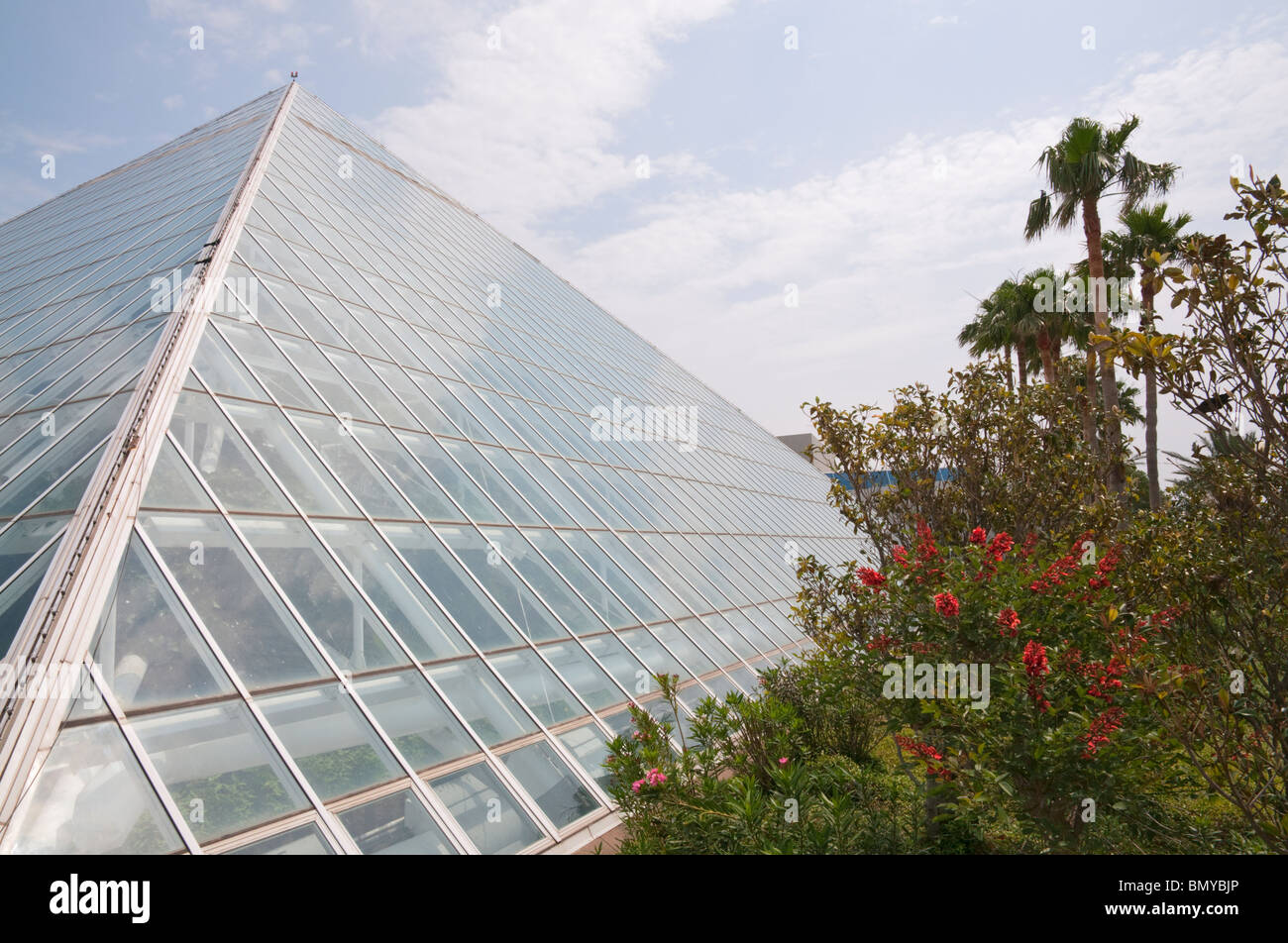 Texas, Galveston, Moody Gardens, Rainforest Pyramid Stock Photo Alamy
