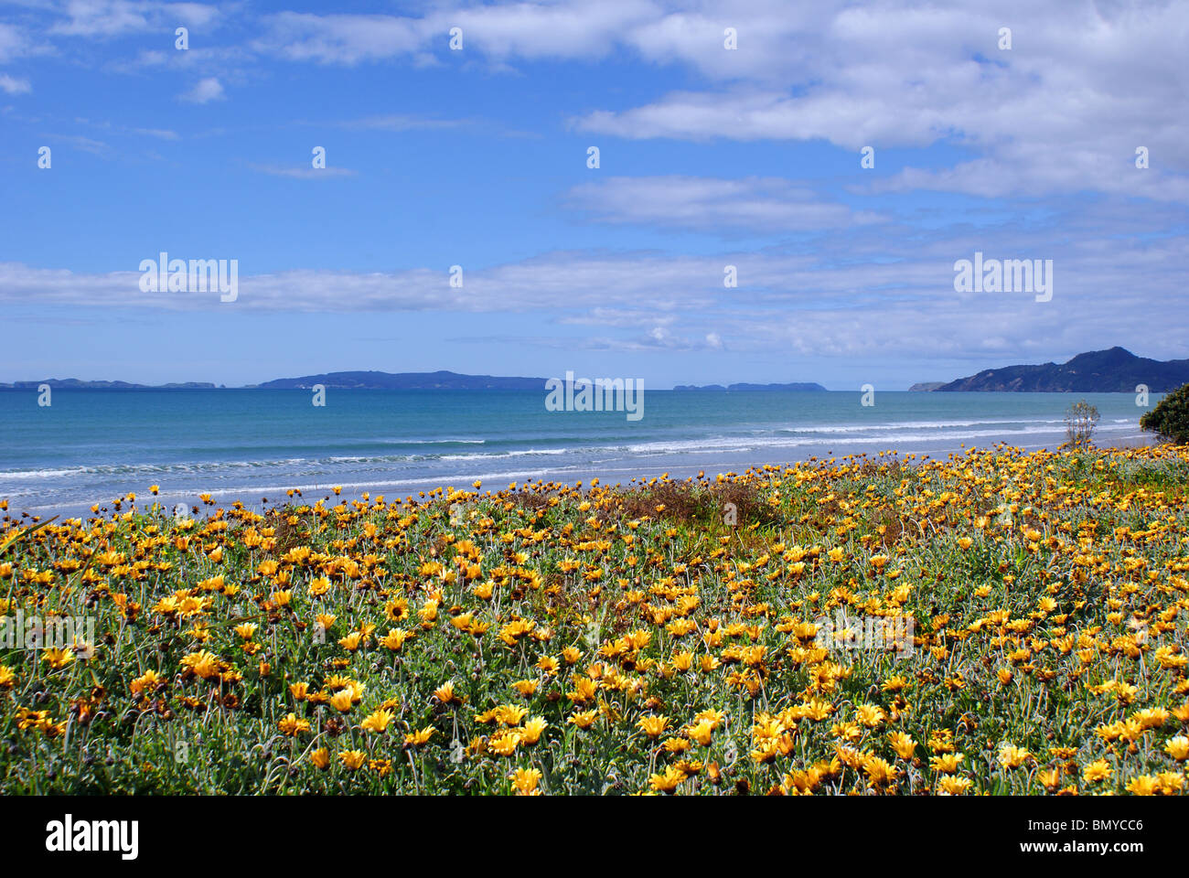 Matarangi hires stock photography and images Alamy