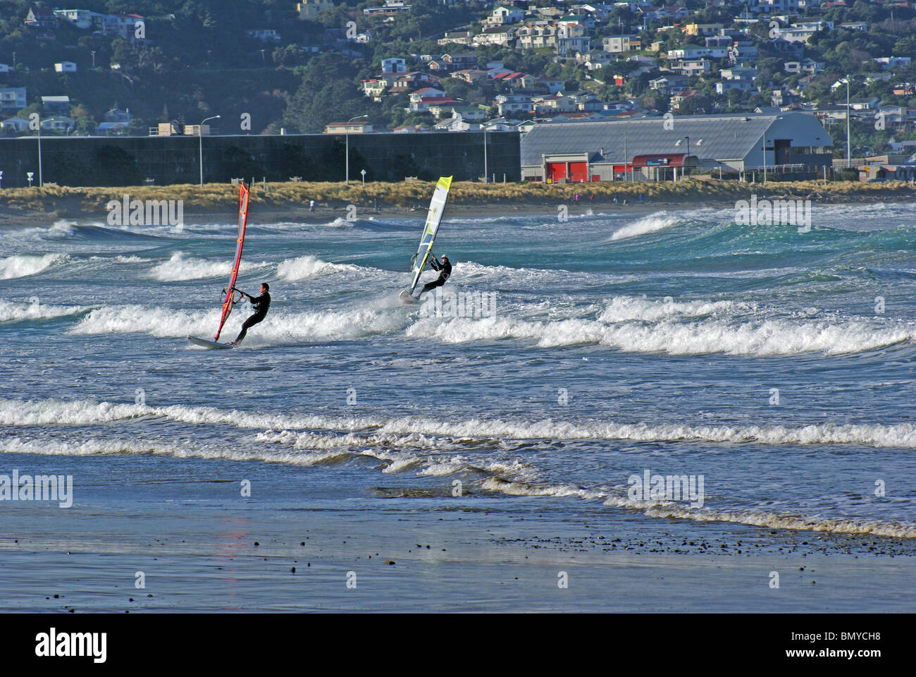 Windsurfing on Layal Beach, Wellington, New Zealand Stock Photo Alamy
