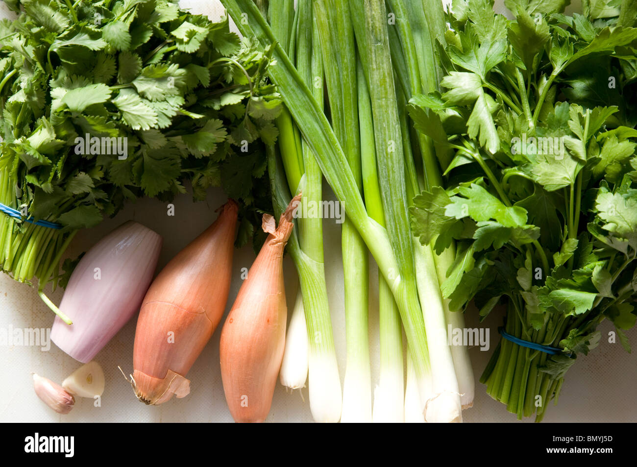 Bulb vegetables onions herbs hires stock photography and images Alamy