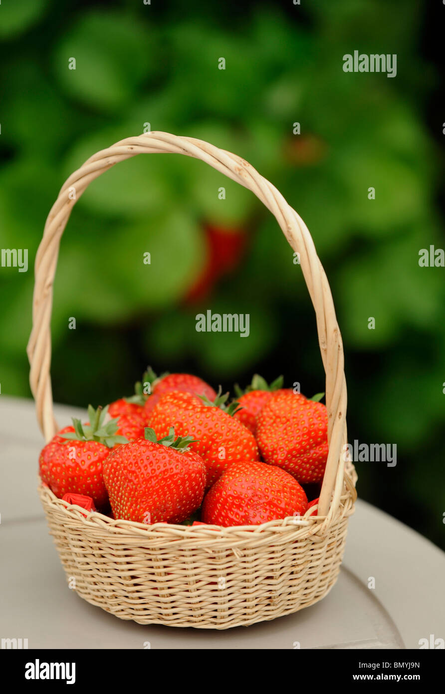 A basket of strawberries Stock Photo Alamy