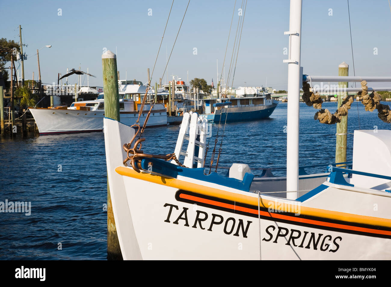 Tarpon springs, fl hires stock photography and images Alamy