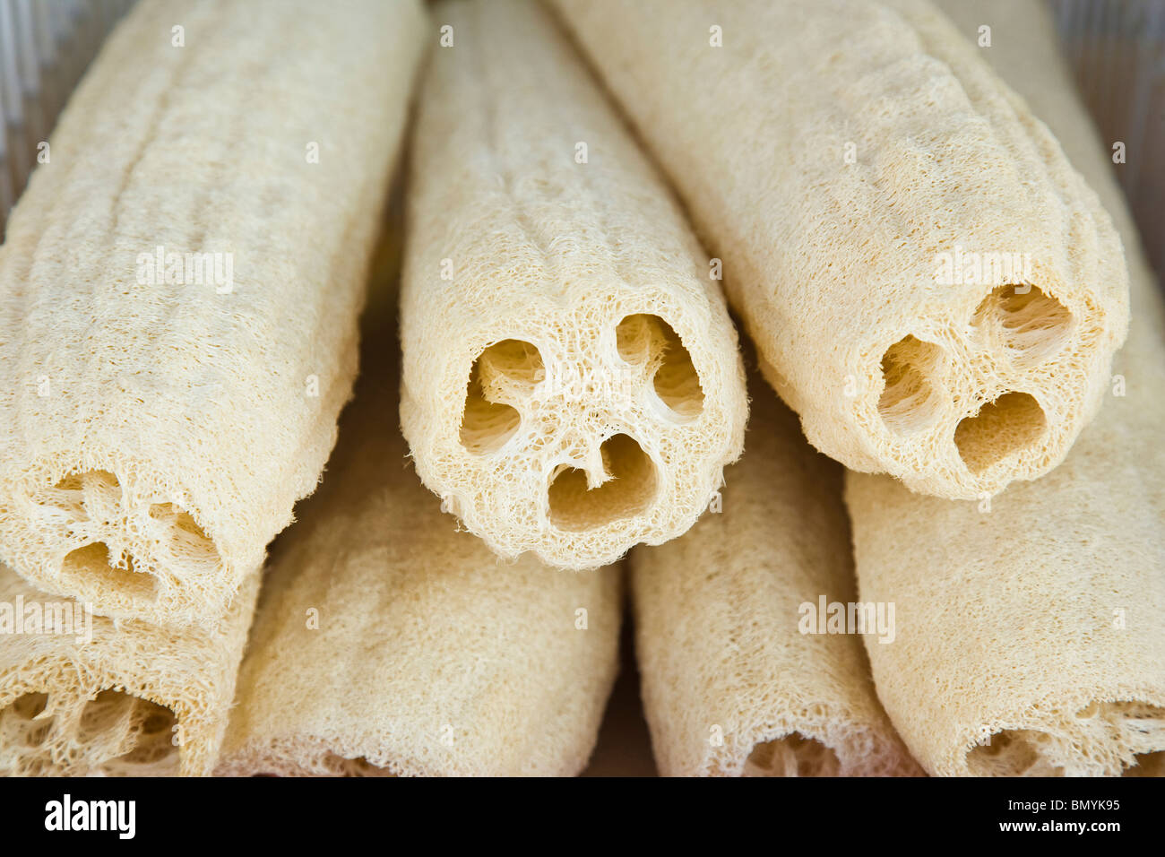 Sea sponges, Tarpon Springs, Florida, USA Stock Photo Alamy
