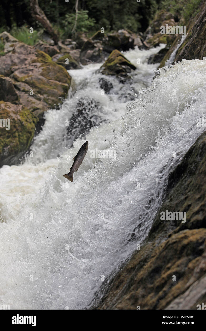 The bridge at feugh hires stock photography and images Alamy