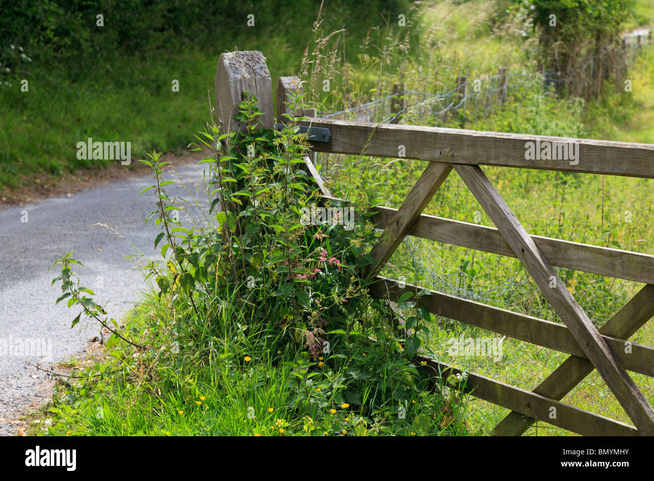 five bar wooden field gate alongside tarmac track Stock Photo