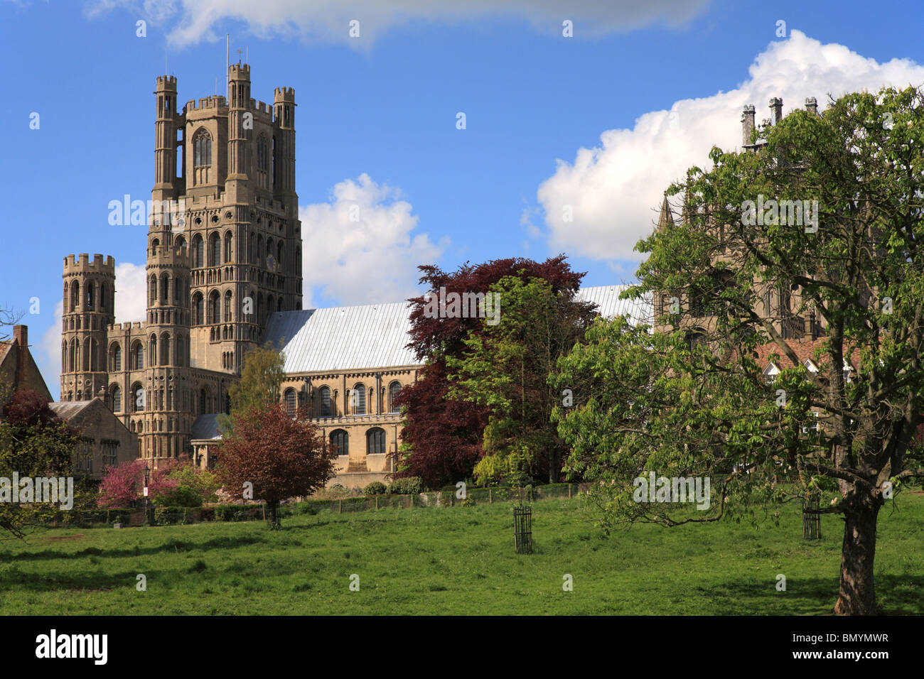 Ely Cathedral exterior from Cathedral Park, Cambridge, England, UK Stock Photo