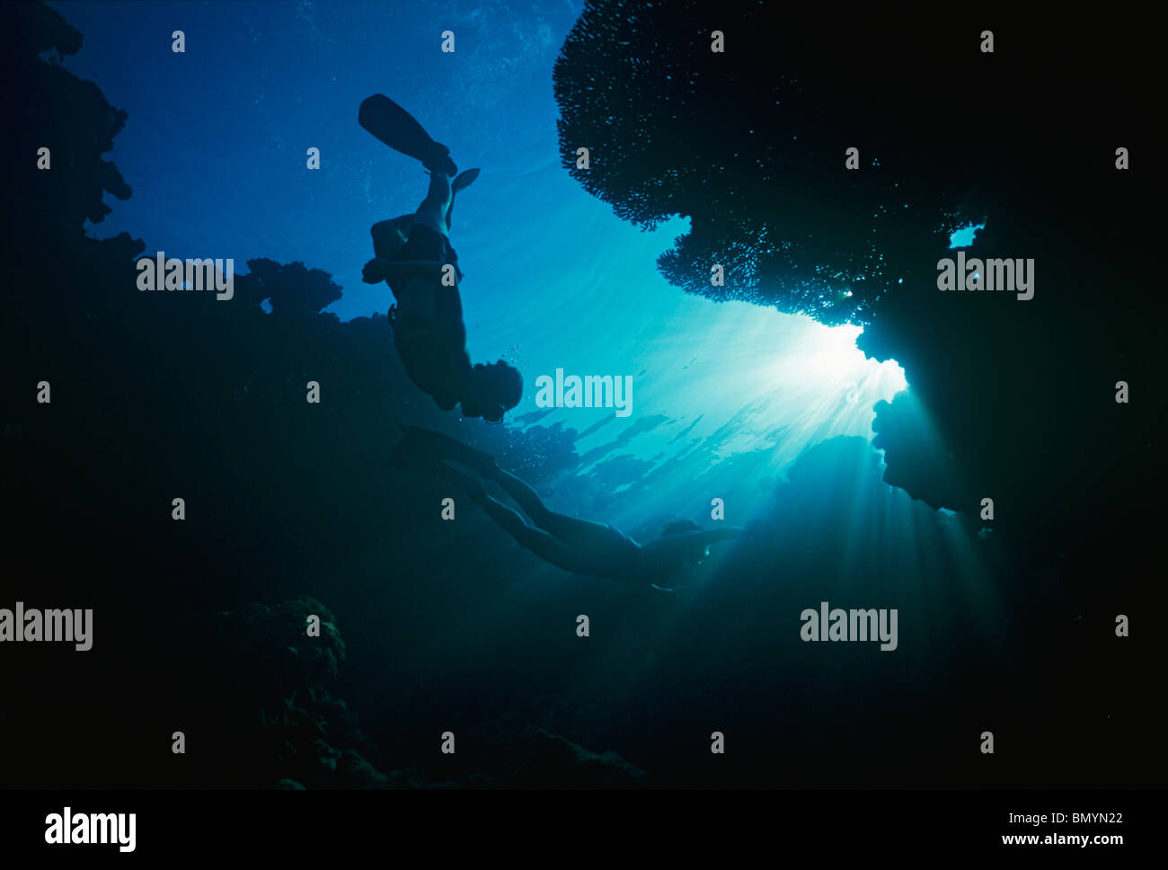 Free diving into coral garden - Tiran Island, Red Sea, Egypt Stock Photo