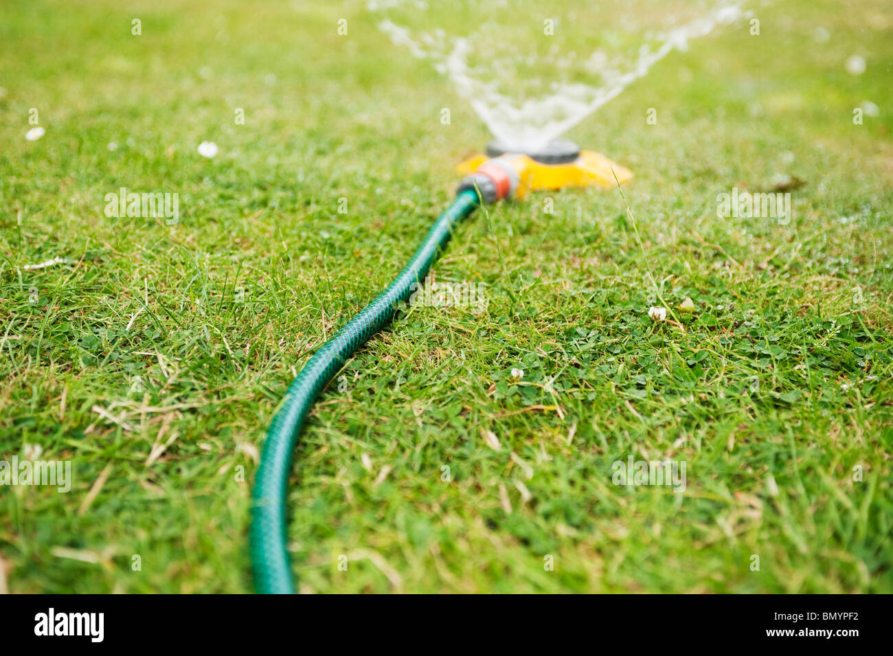 Garden hose watering a grass lawn in summer Stock Photo Alamy