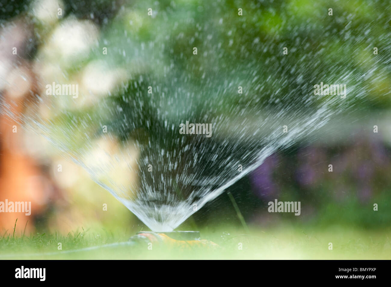 Garden hose watering a grass lawn in summer Stock Photo Alamy