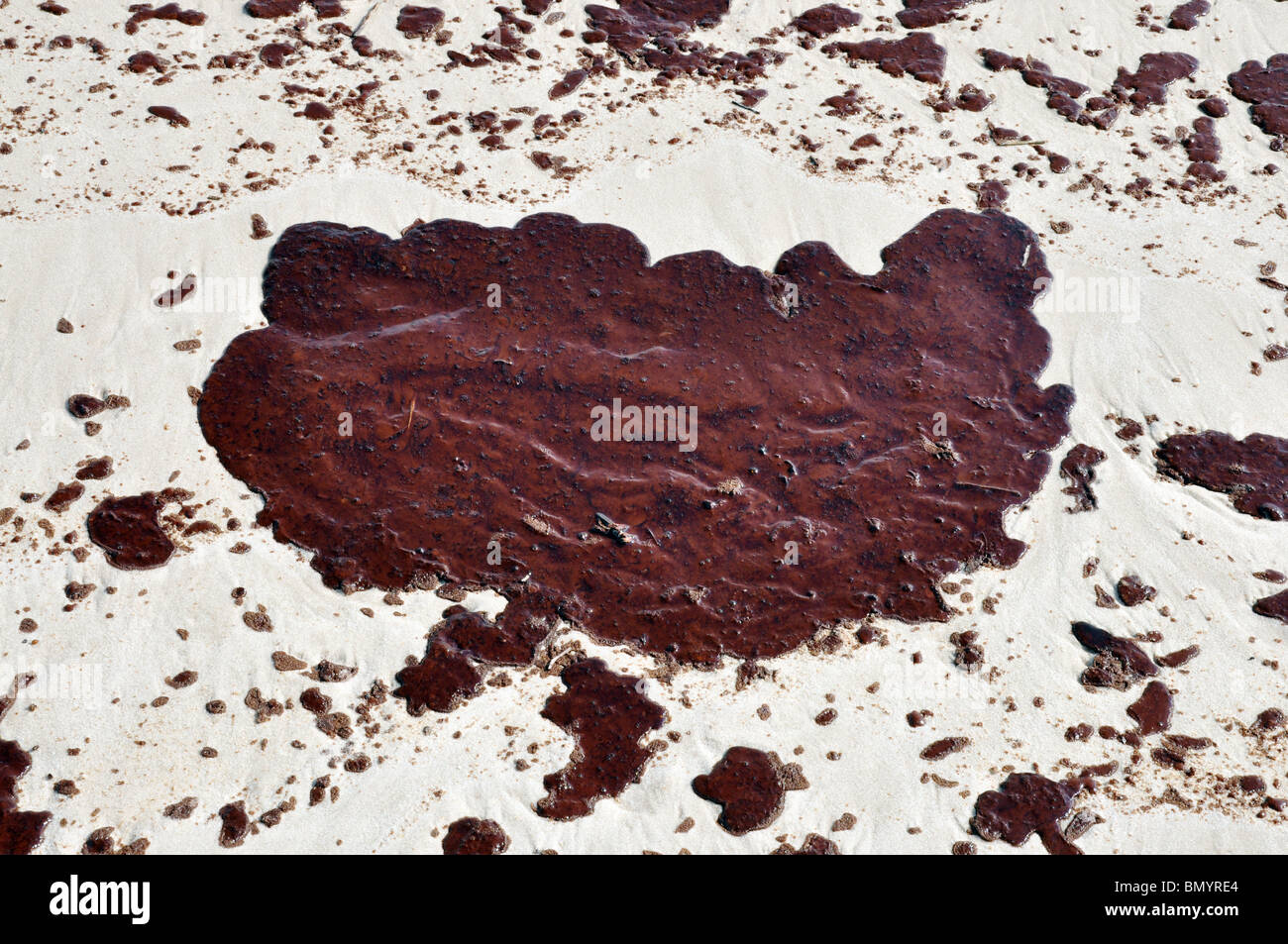 Closeup of oil spill on beach Stock Photo Alamy