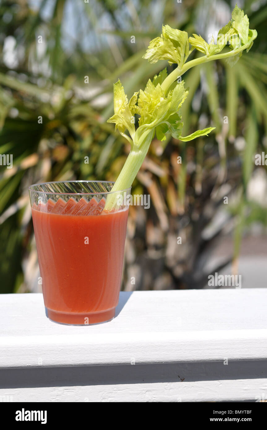 Bloody Mary with celery stalk garnish. Palm tree in background Stock