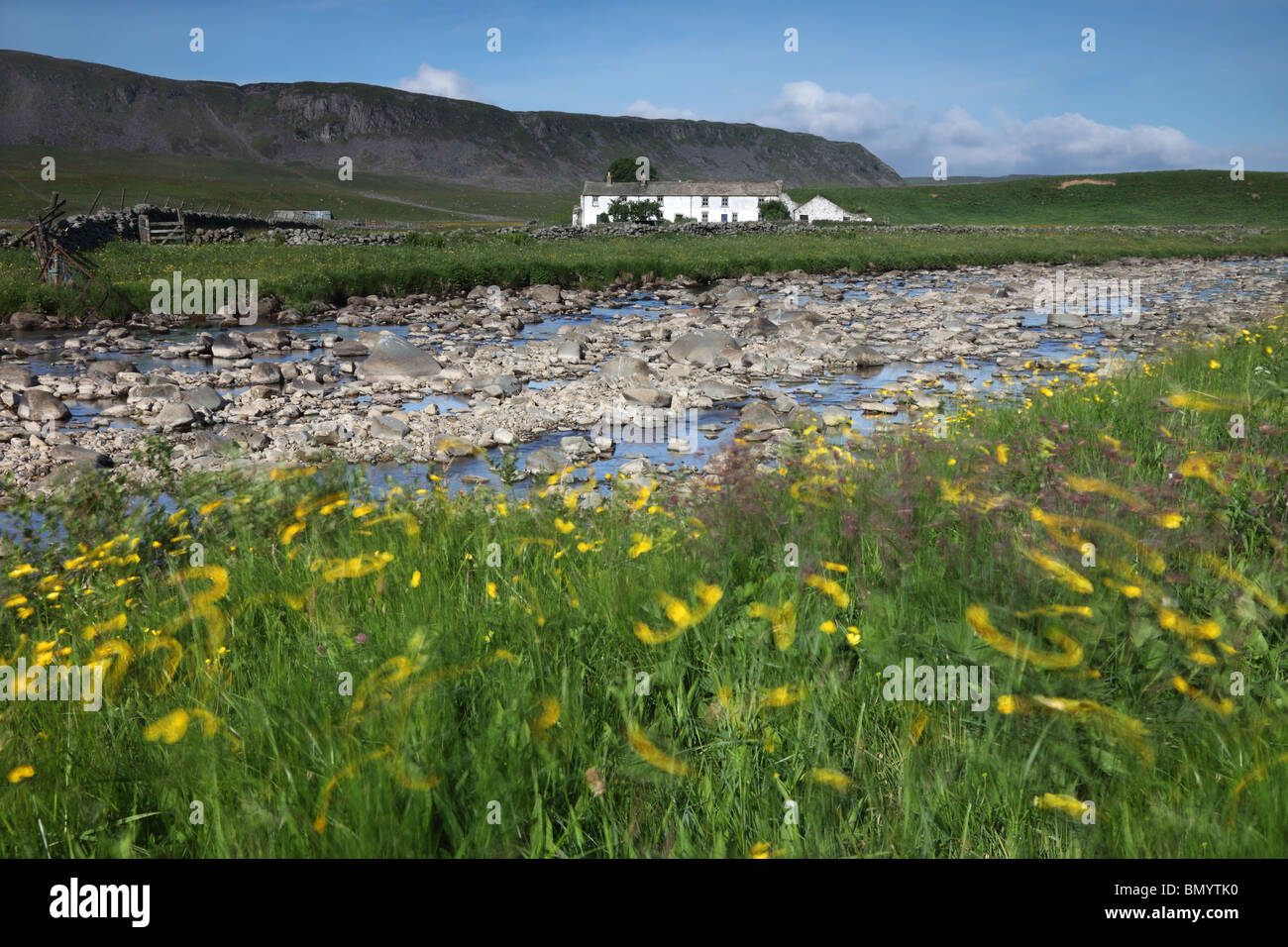 Cronkley Fell and Wheysike House Across Harwood Beck With Swirling Buttercups from the Pennine Way Footpath Upper Teesdale Stock Photo