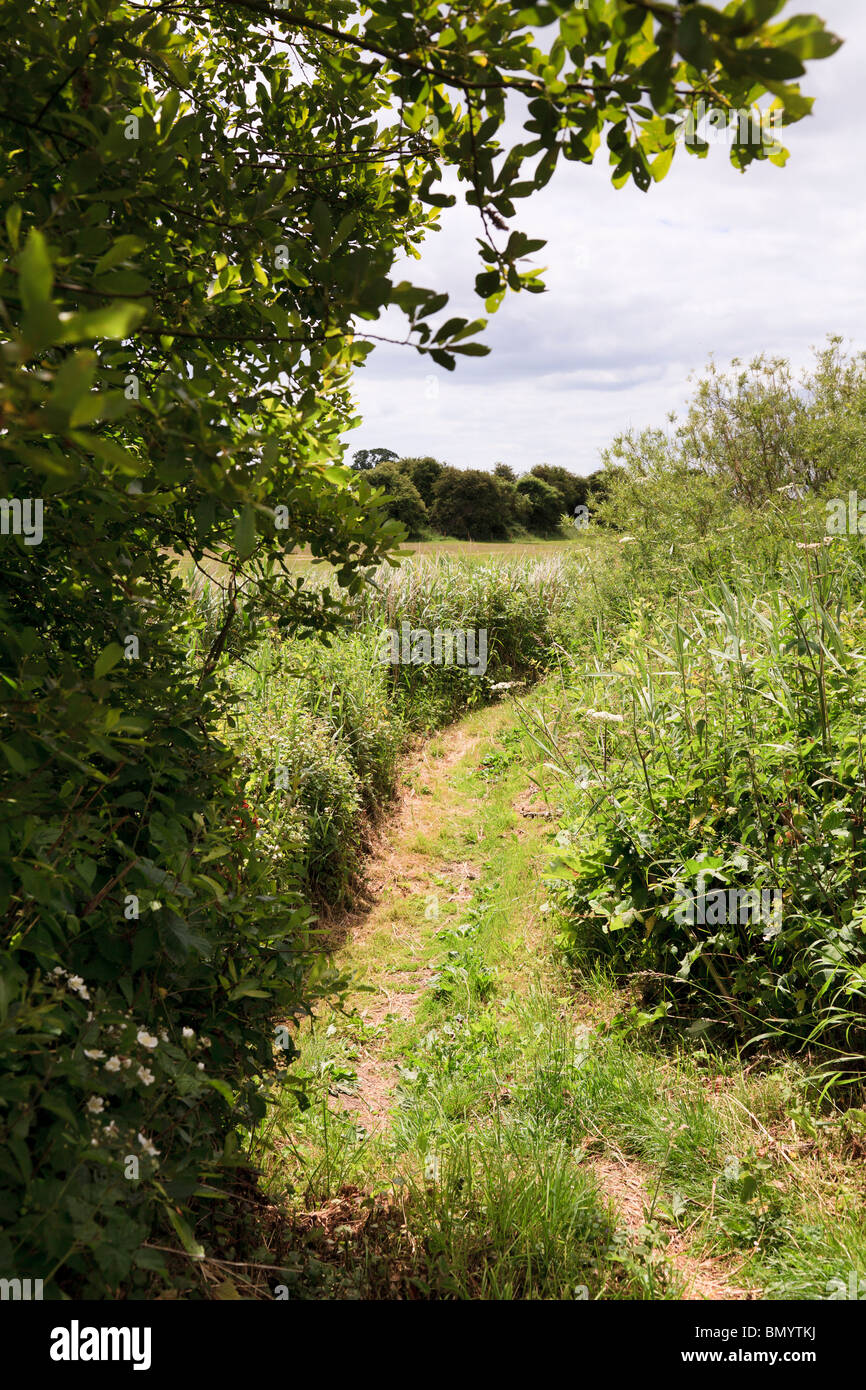 footpath track at the edge of a field Stock Photo Alamy