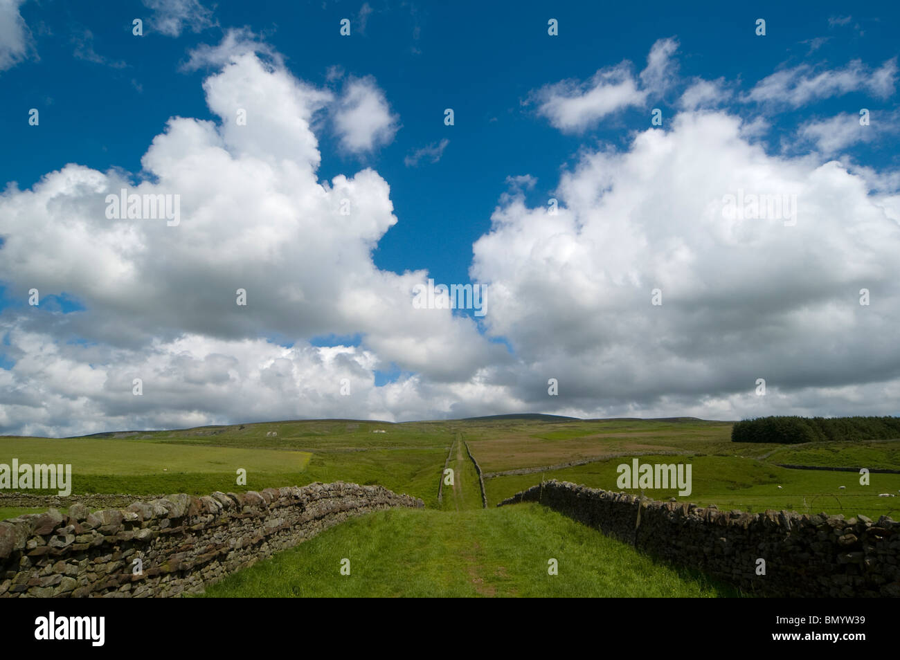 A green lane in the Eden Valley, near Penrith, Cumbria, England, UK