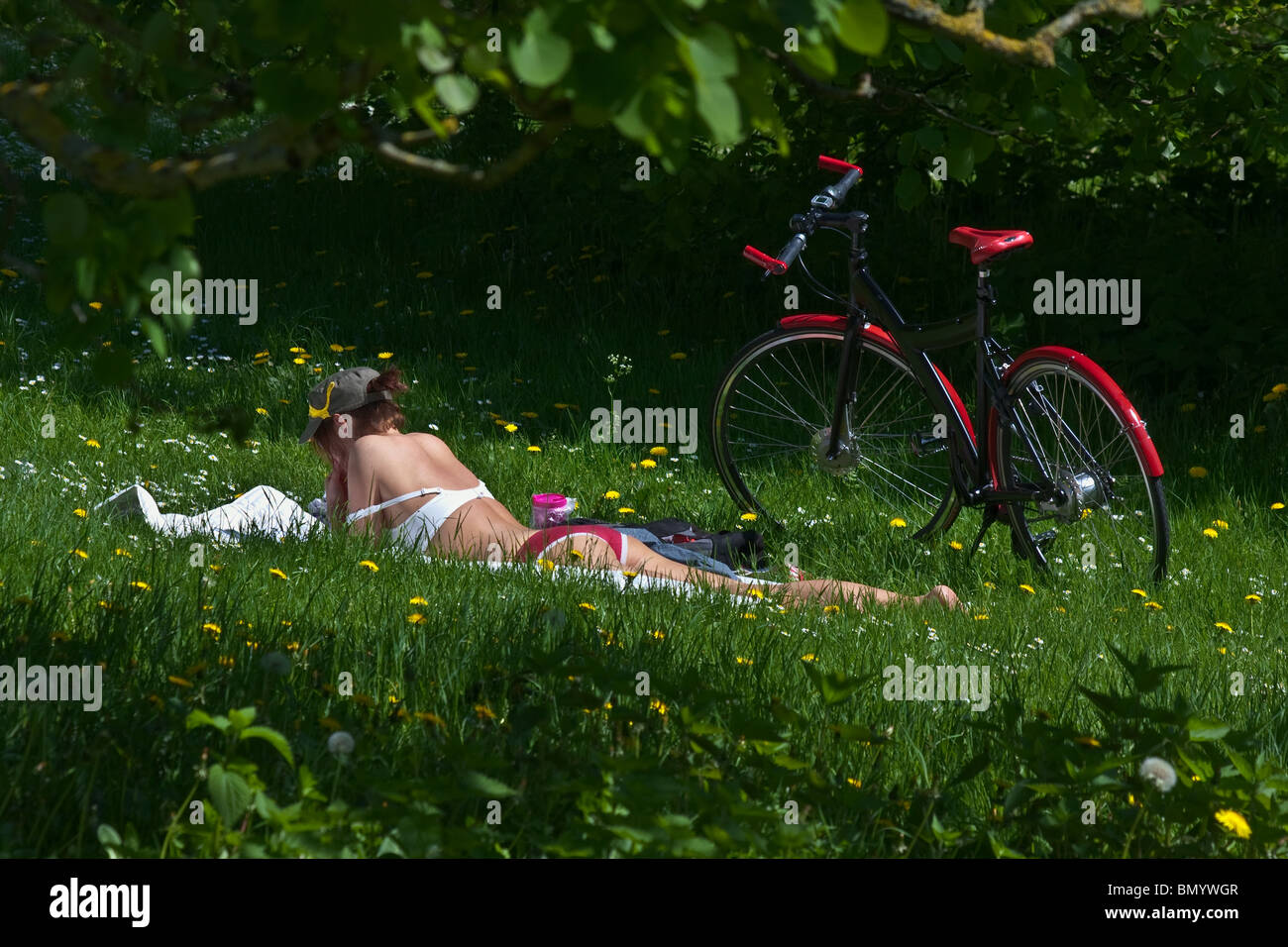 Beautiful young girl enjoying the sun and her newspaper in the grass among dandelions beside her red bike. Horizontal Stock Photo