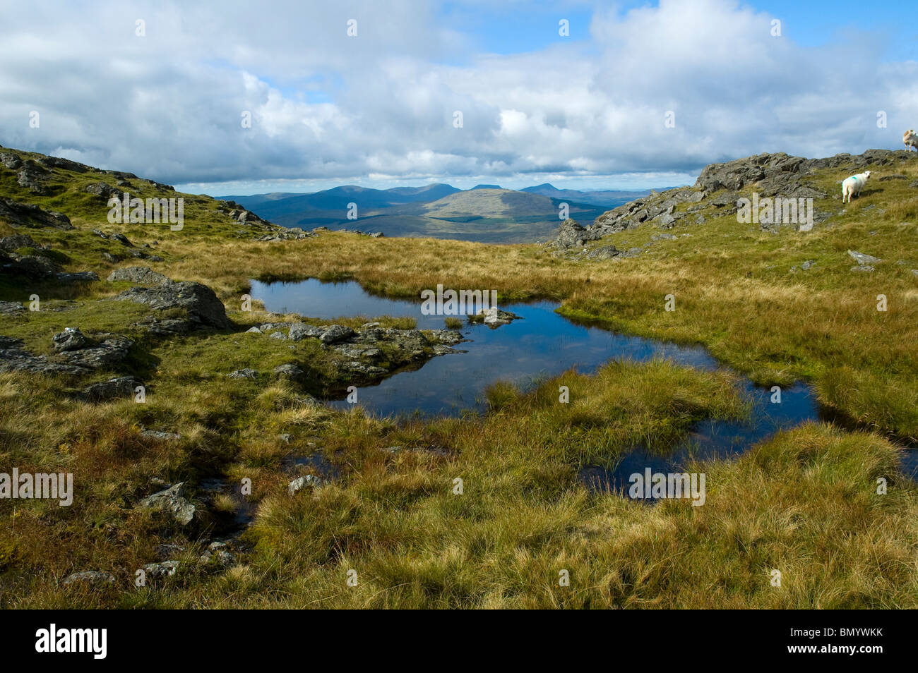 The Rhinog Hills from Aran Benllyn in the Aran mountains, near Bala