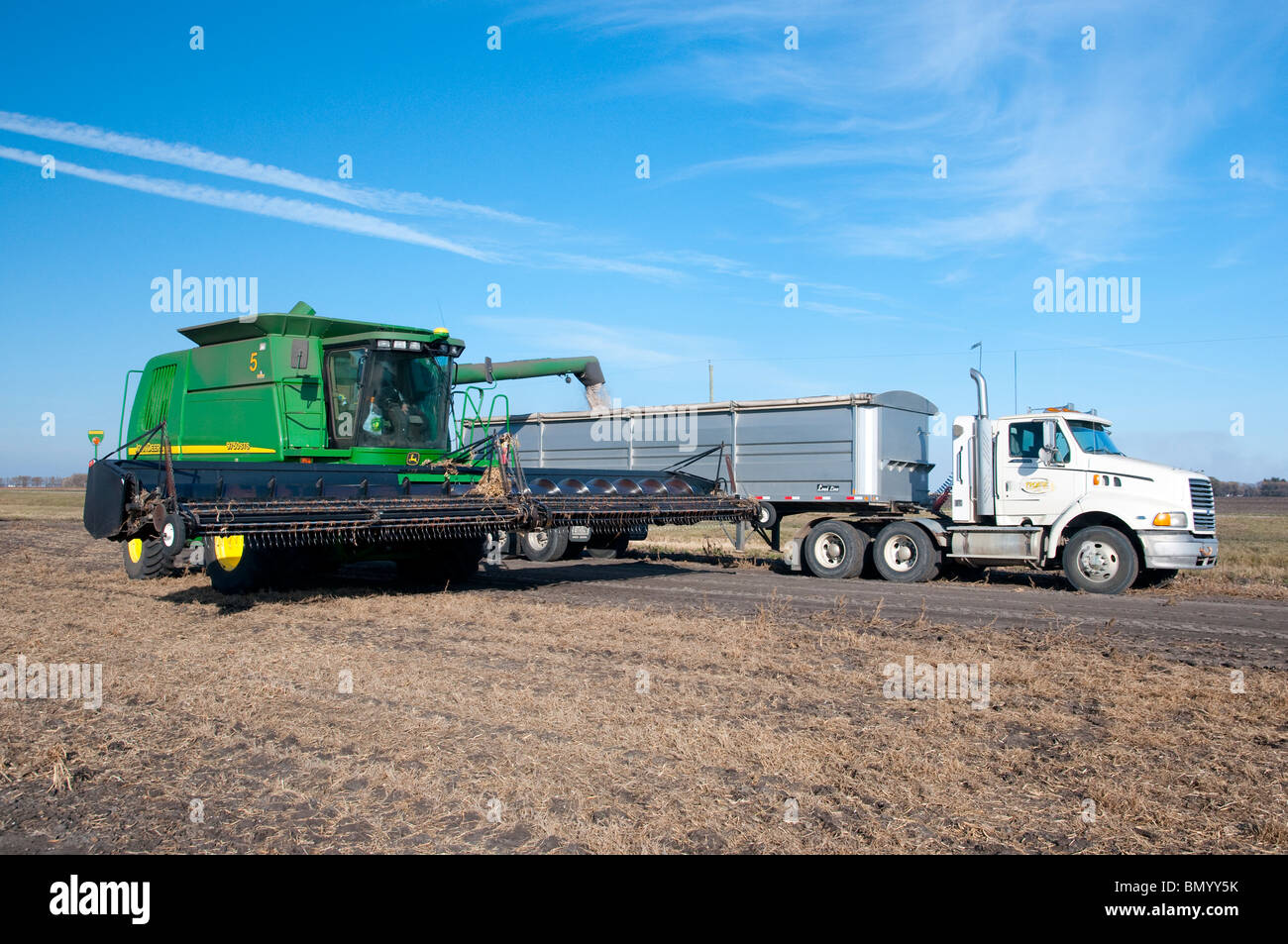 Edible bean harvest on the Froese farm near Winkler, Manitoba, Canada. Stock Photo