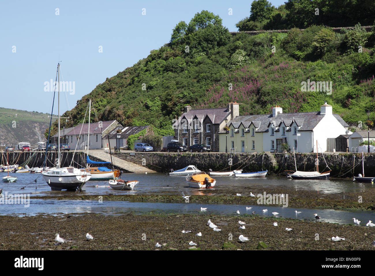 Old fishguard harbour hires stock photography and images Alamy