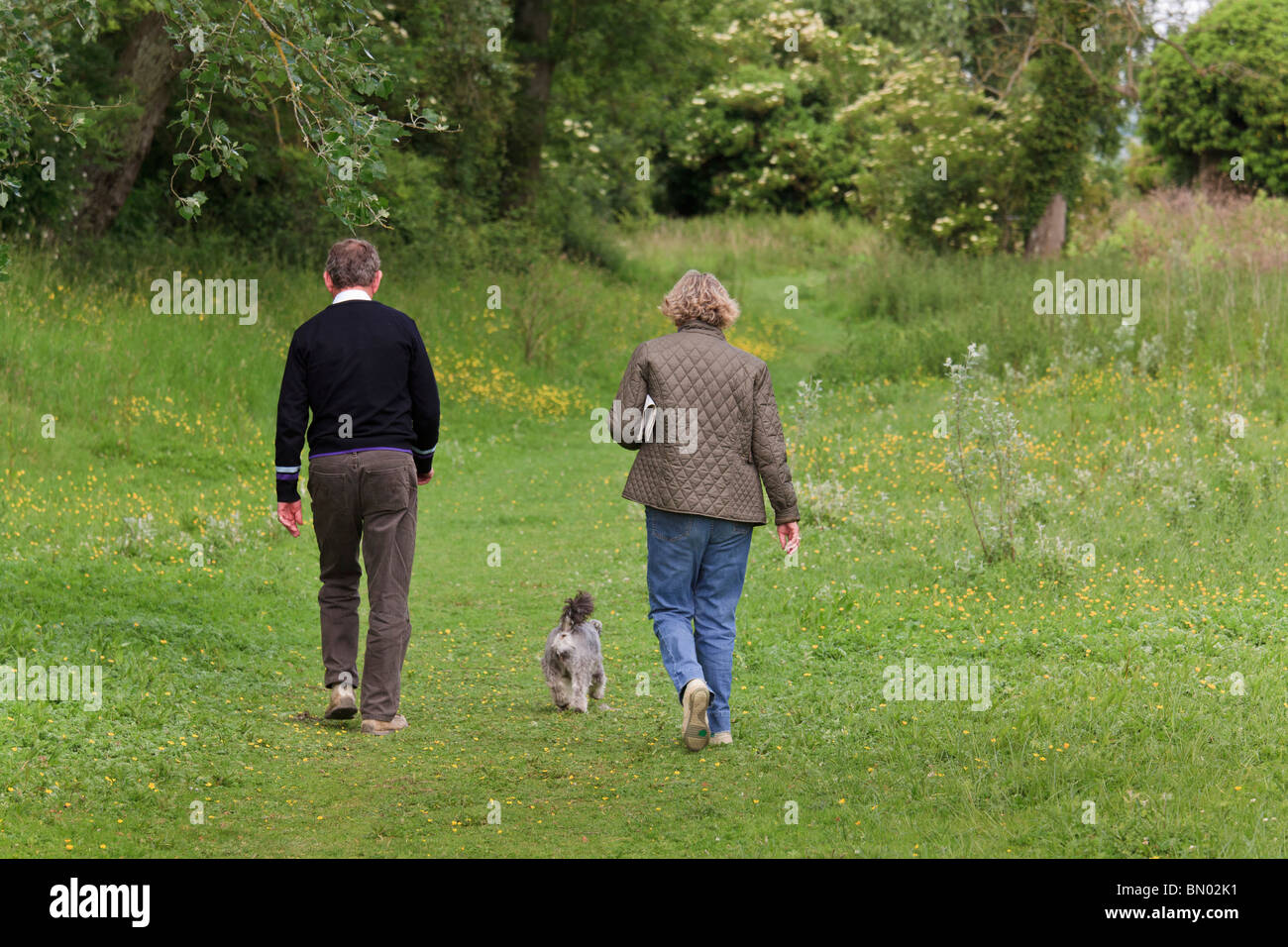 Can You Walk A Dog Off The Lead