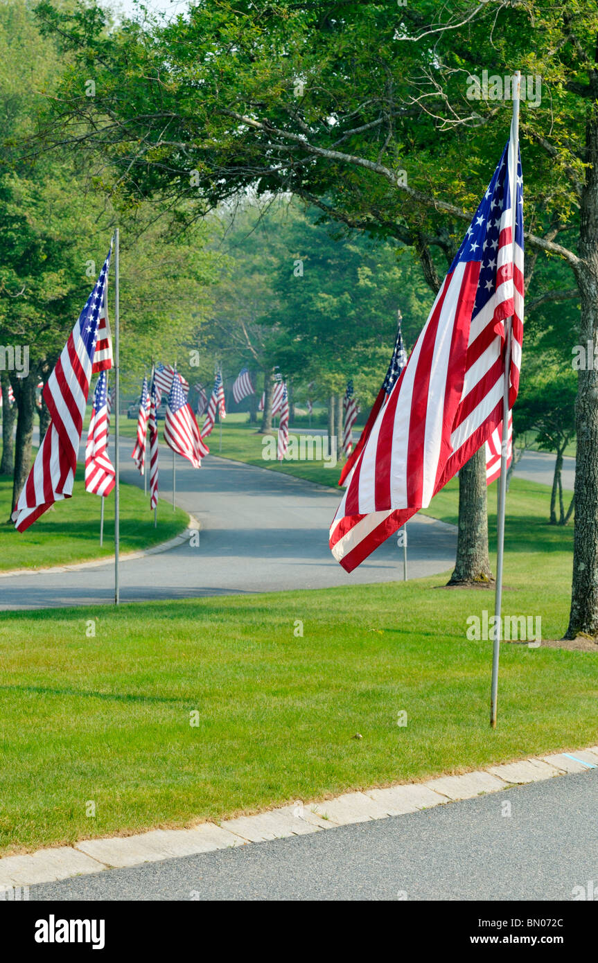 American flags lining street entrance at the National Cemetery in Bourne, Massachusetts Cape Cod on Memorial Day . USA Stock Photo
