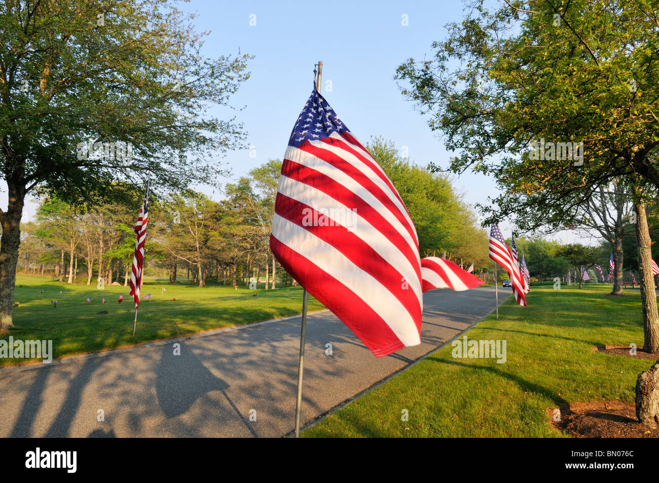 American flags blowing in the wind lining street at National Cemetery in Bourne, Cape Cod,  Massachusetts on Memorial Day USA Stock Photo