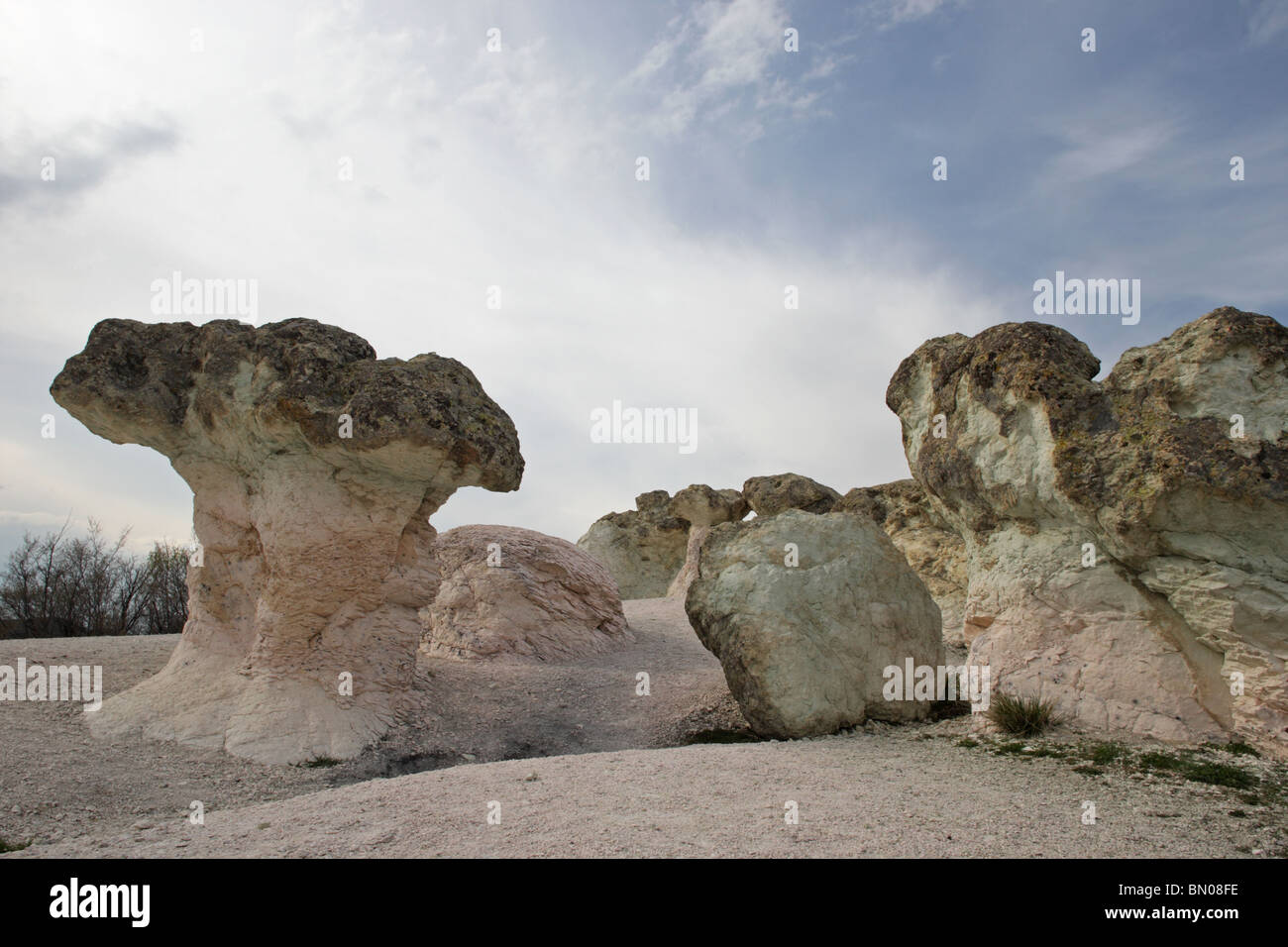 Nature phenomenon 'Stone Mushrooms', East Rodopi (Rhodopi) Mountains, Bulgaria, Europe Stock Photo