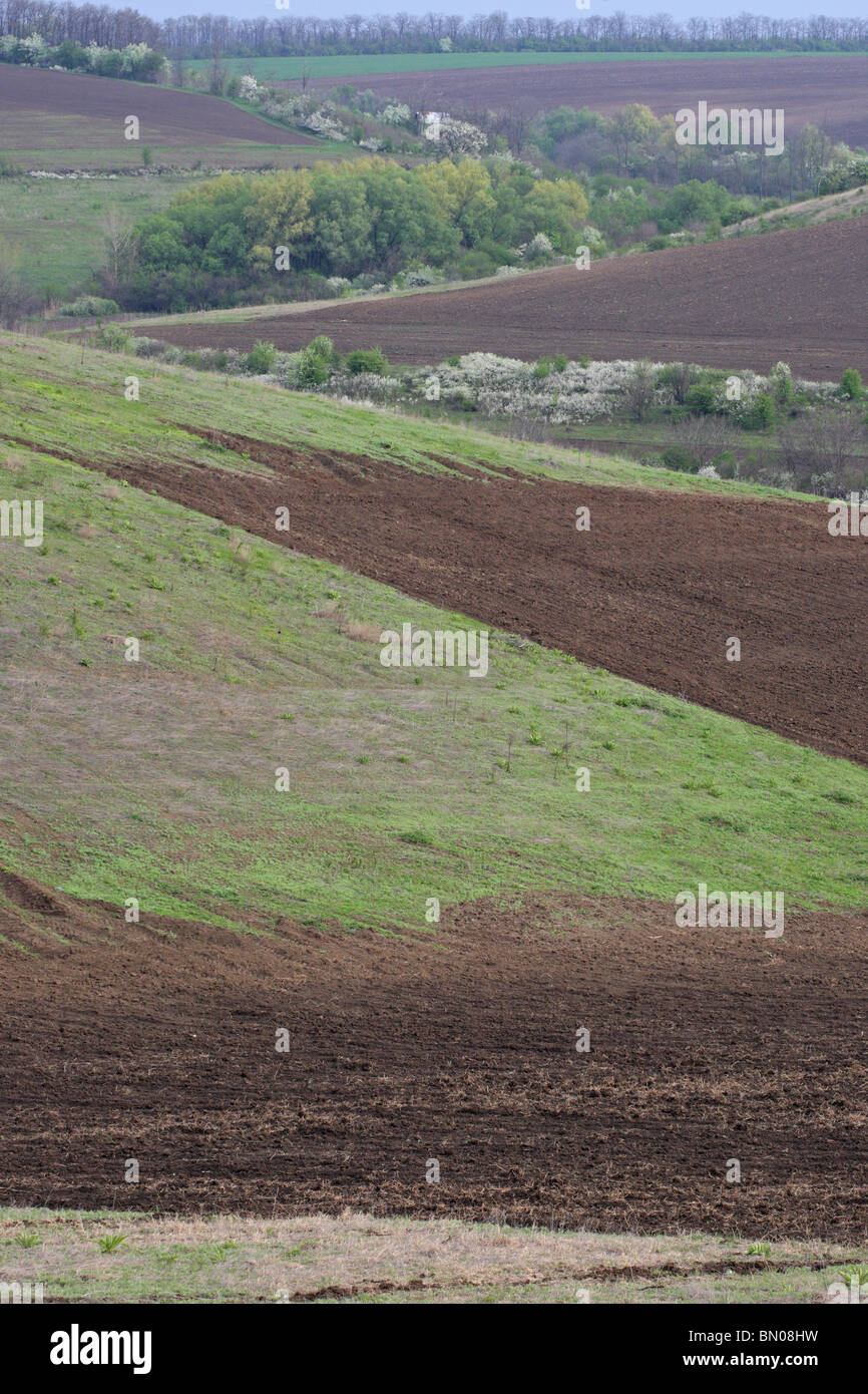 Agricultural and semi-wild landscape from North Bulgaria, Europa Stock Photo