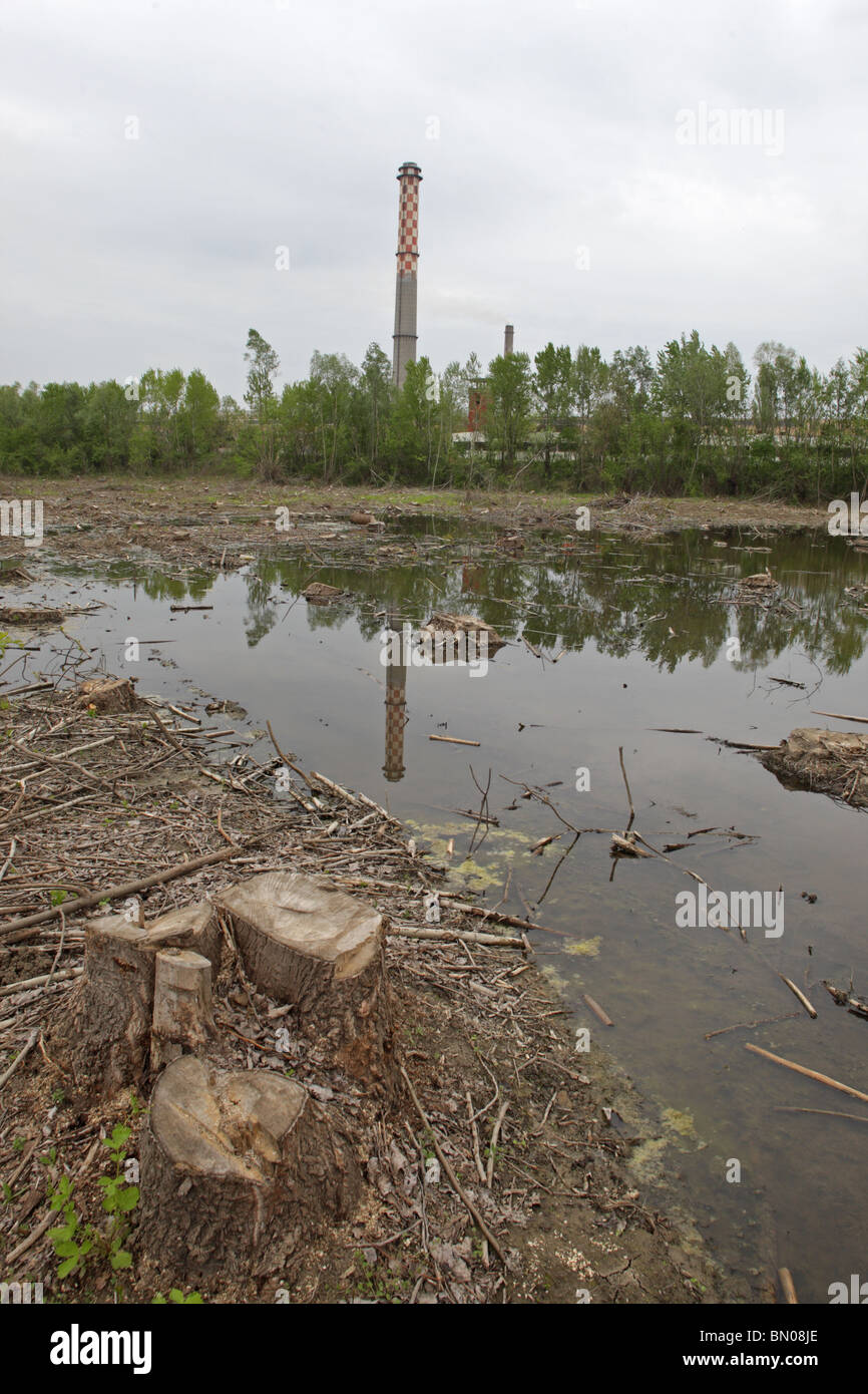 flooded wood cutting area in the marsh riverside of Danube river, industrial zone, Bulgaria, Europe Stock Photo