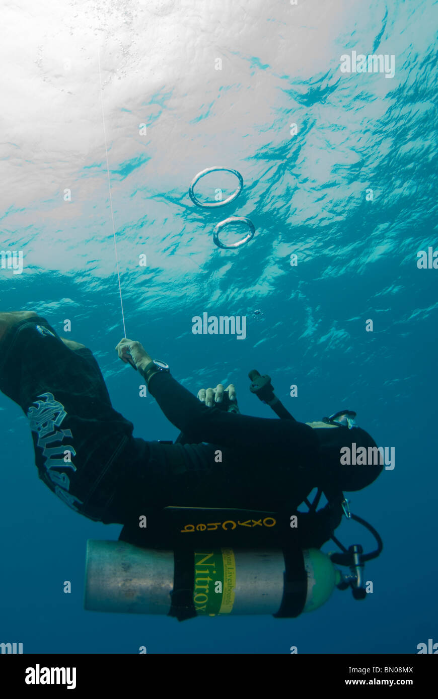 Diver blowing bubble rings, Similan Islands Stock Photo Alamy