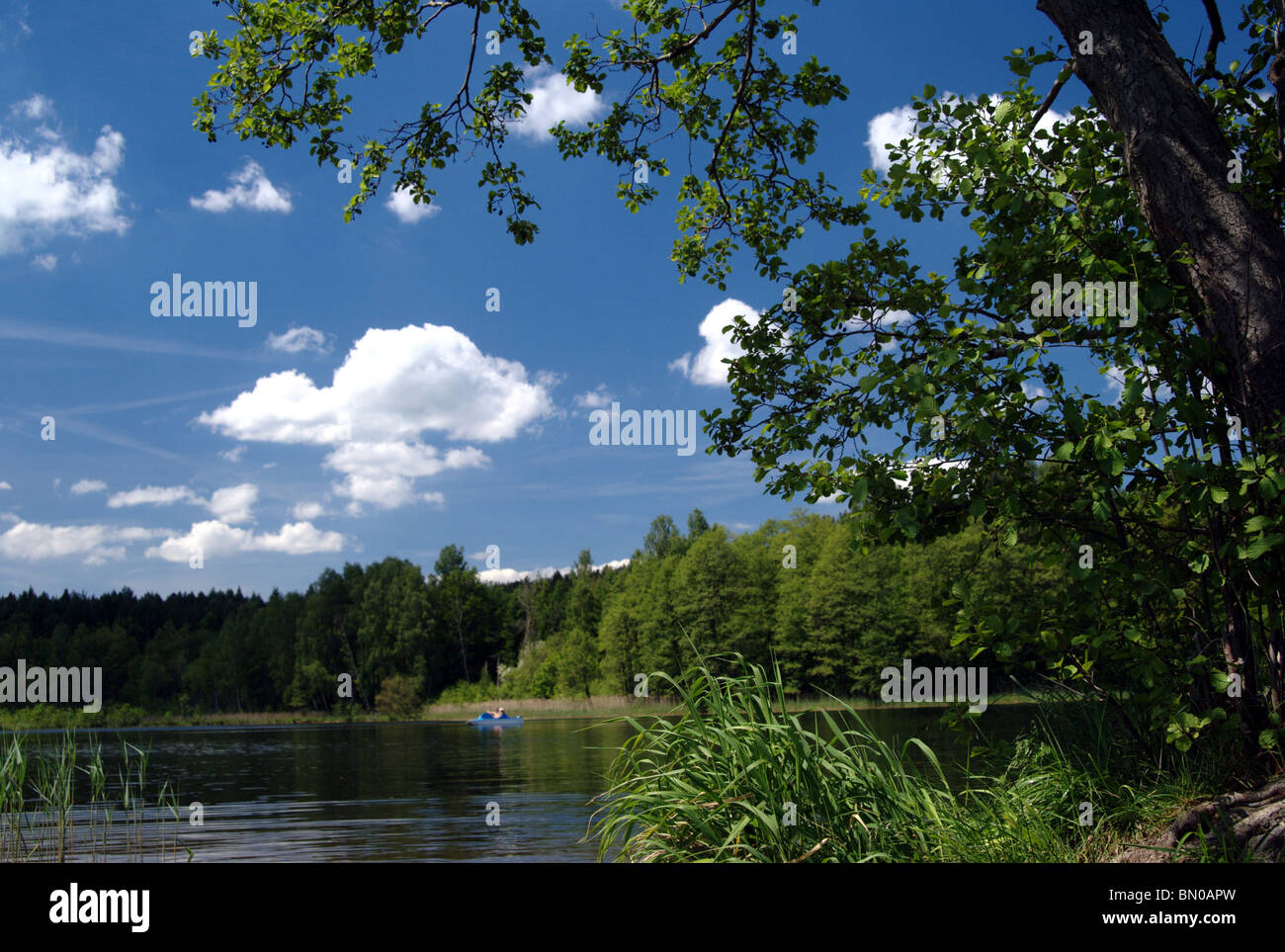 Kaszuby lake hi-res stock photography and images - Alamy