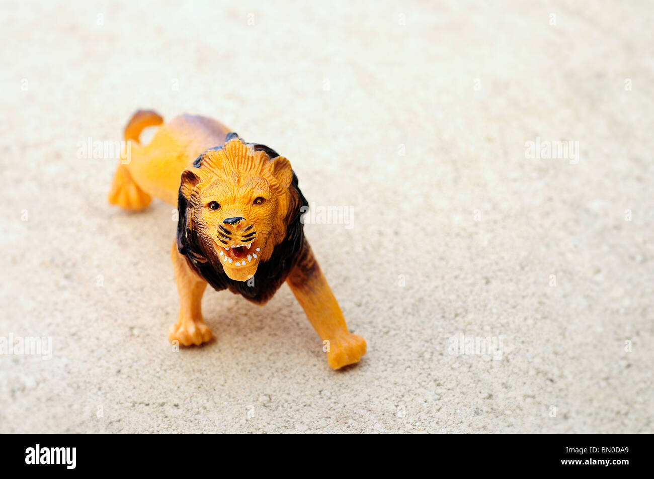 plastic toy lion Stock Photo Alamy