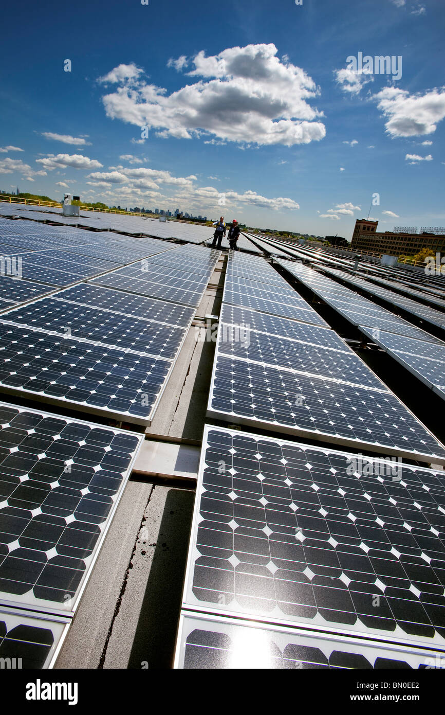 Solar Panels Collecting Sunlight Stock Photo