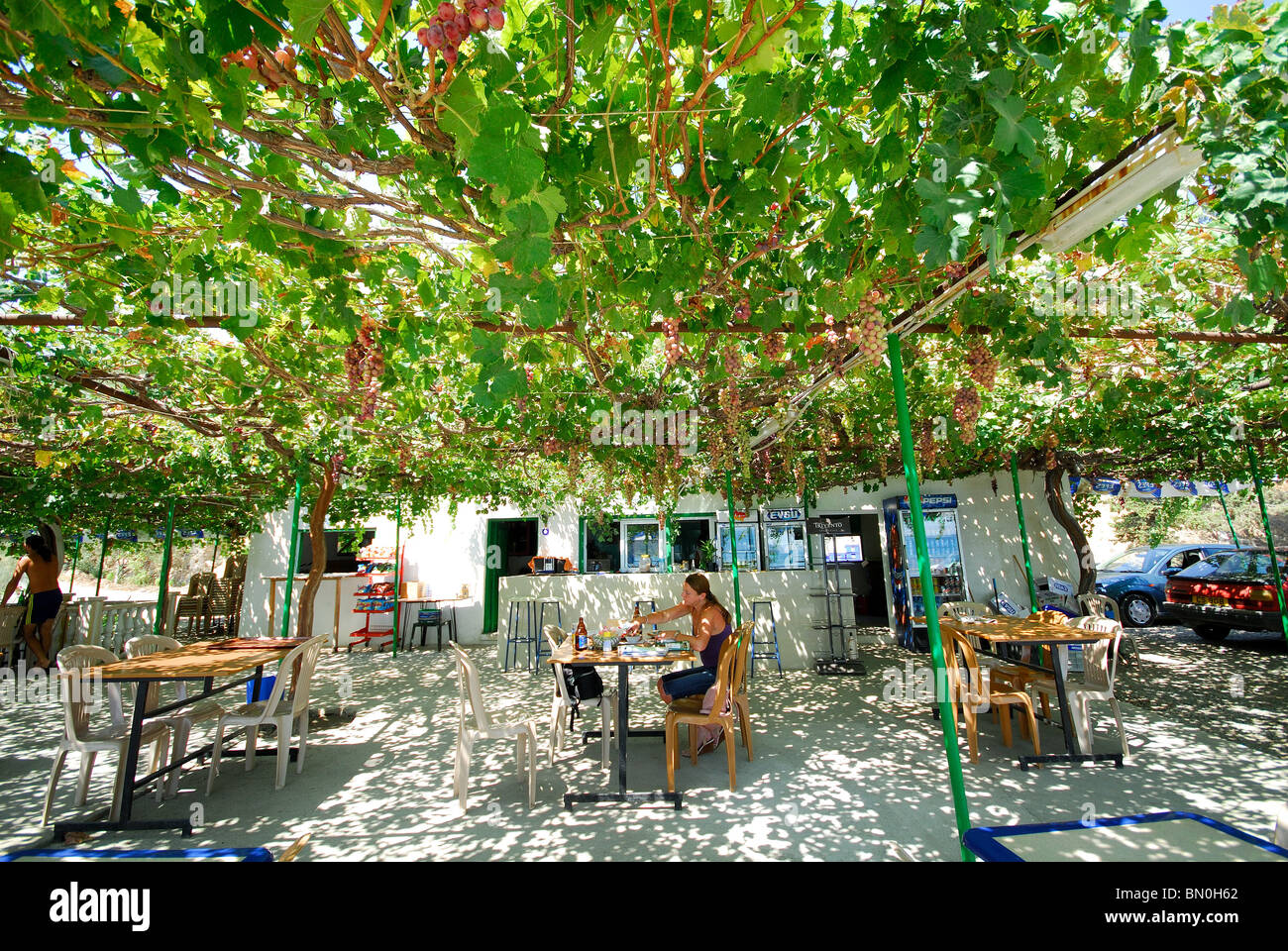 NORTH CYPRUS. The Asmali Plaj restaurant at Yesilirmak (Limnitis) beach, with its world-record largest vine on the terrace. 2009 Stock Photo