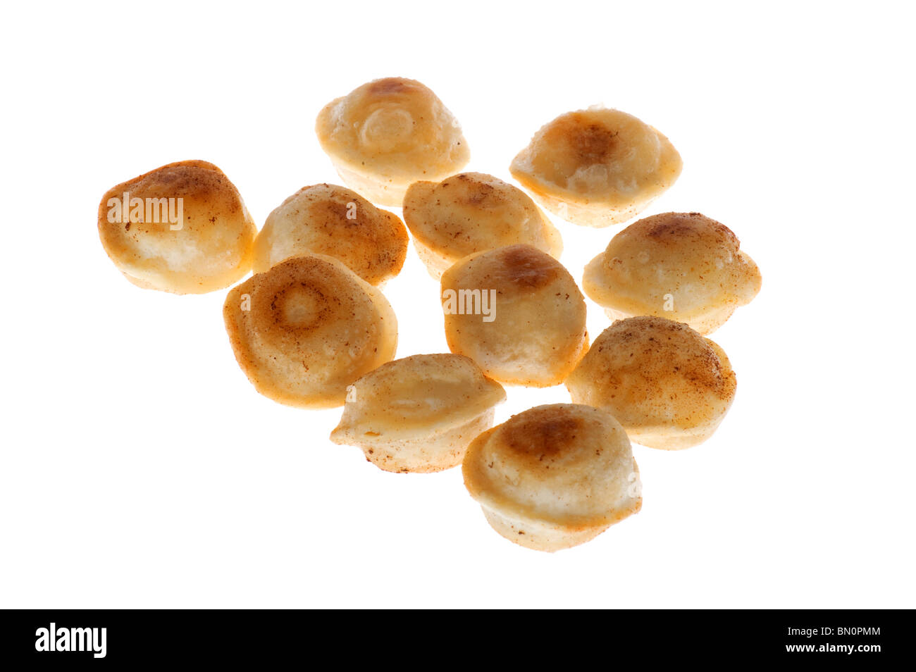 object on white - food fried pelmeni Stock Photo
