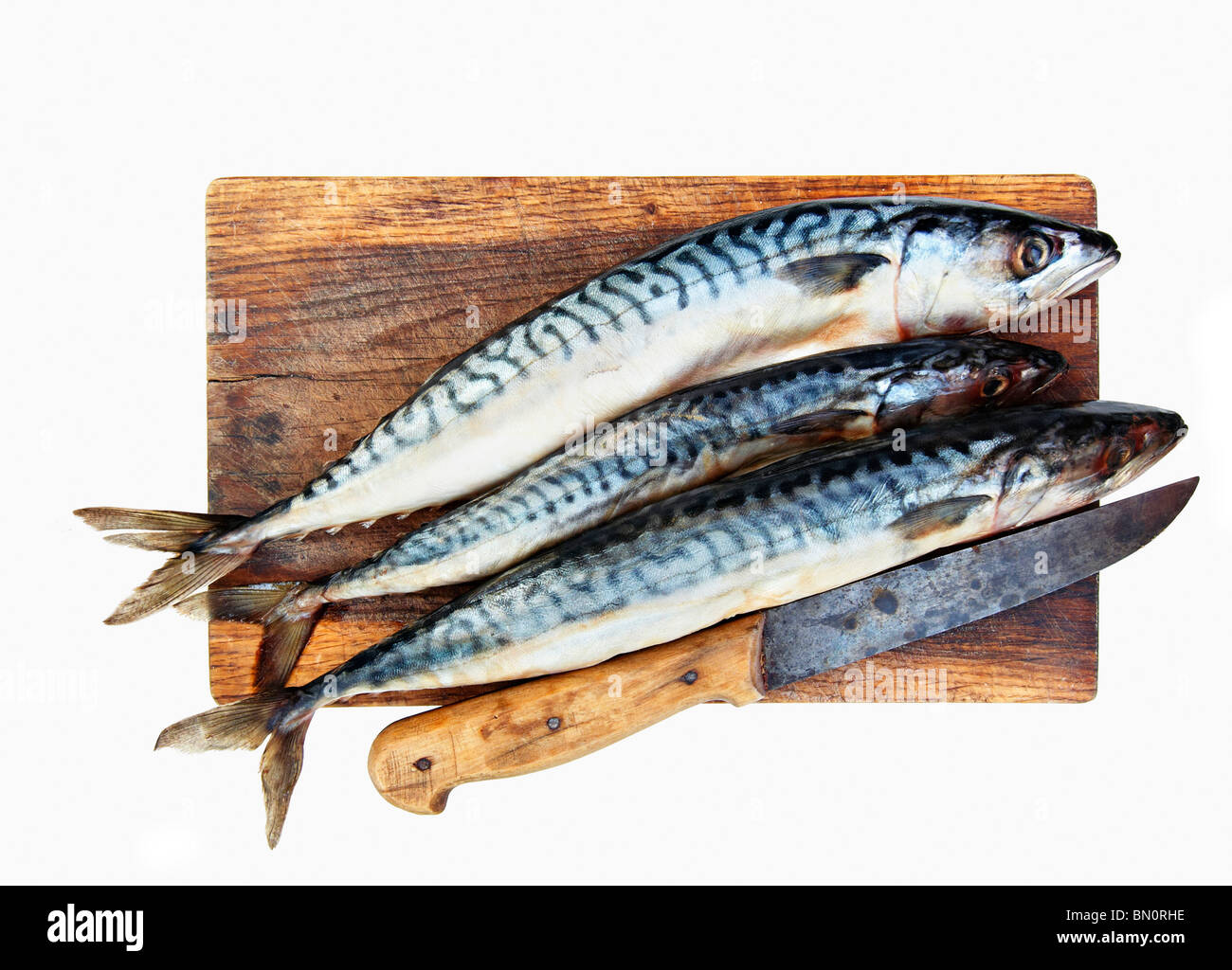 fresh mackerels in the cutting board Stock Photo