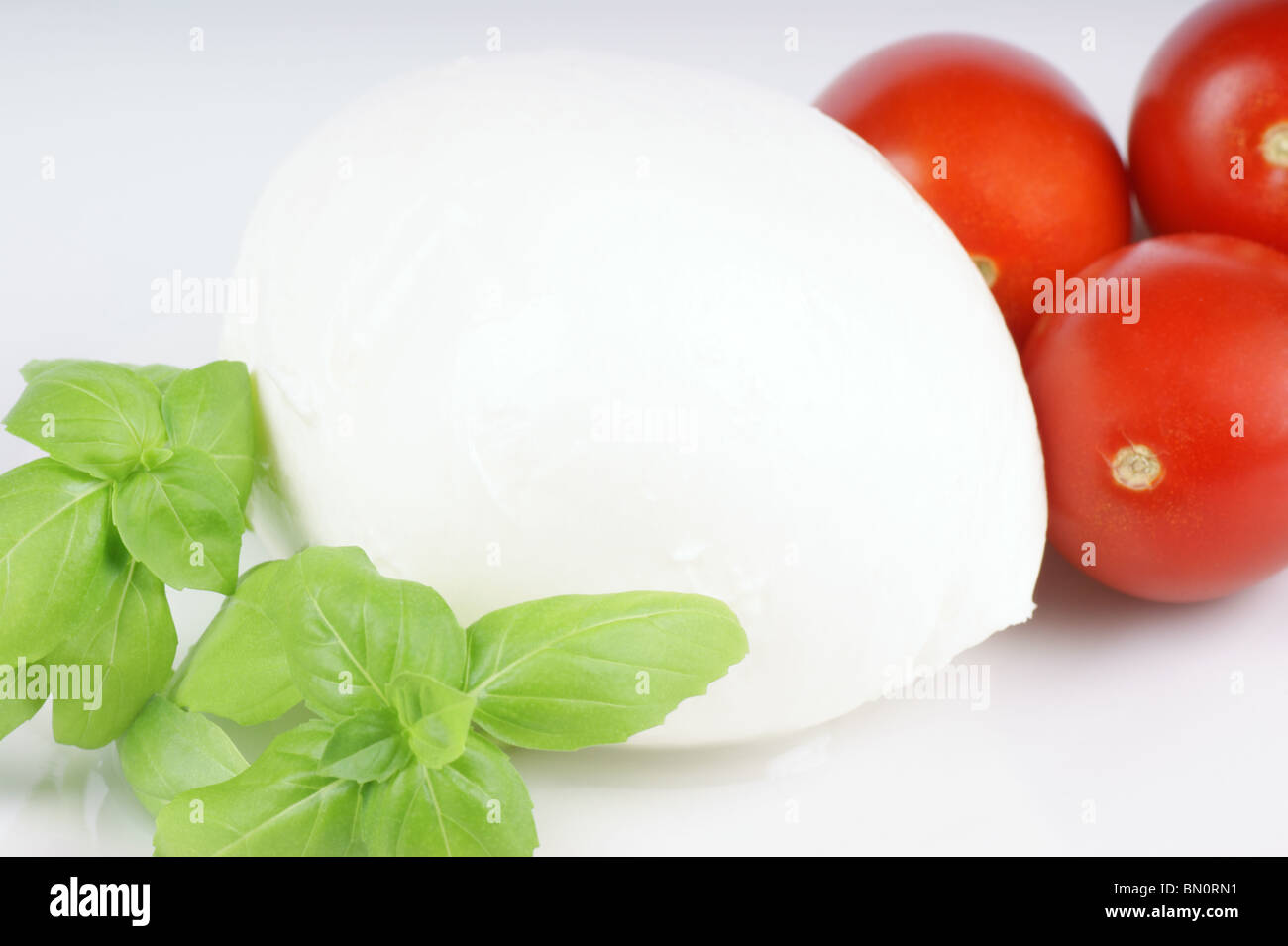 Typical italian taste basil, mozzarella di bufala (buffalo mozzarella