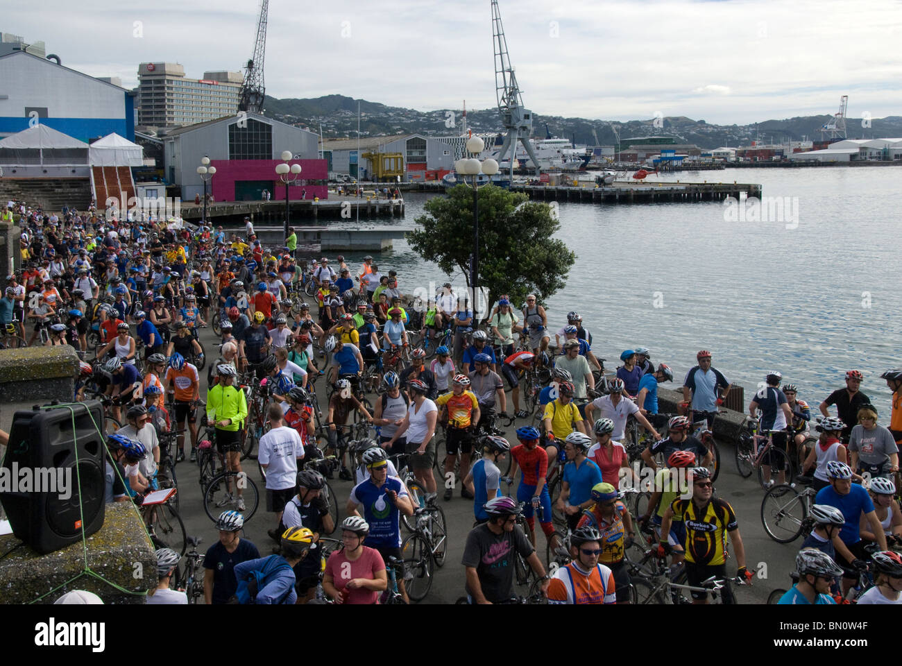 Start of "Round the Bays" cycle event, waterfront, Wellington, North Island, New Zealand Stock