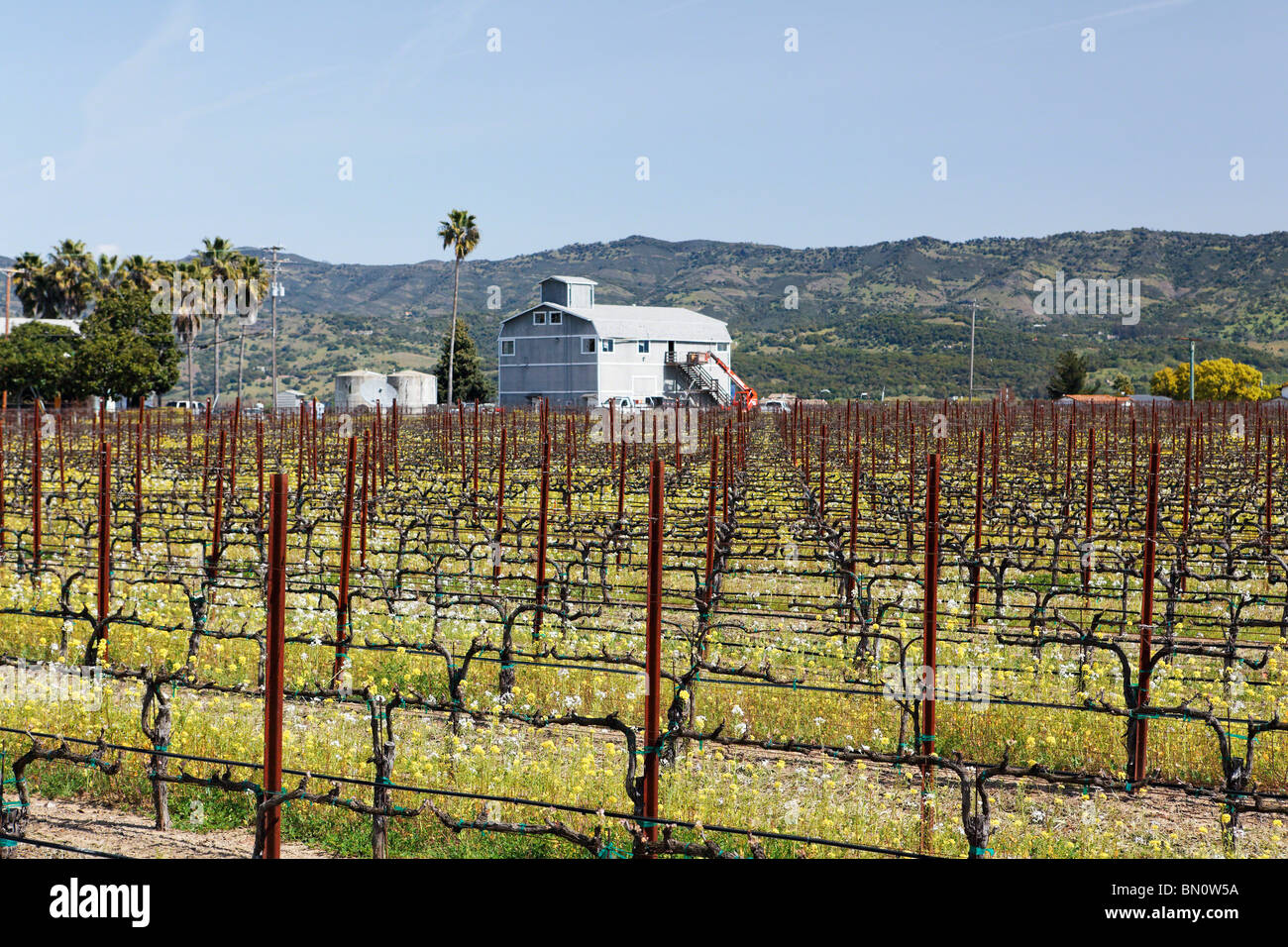 Monticelli Brothers Winery View, Napa, California Stock Photo