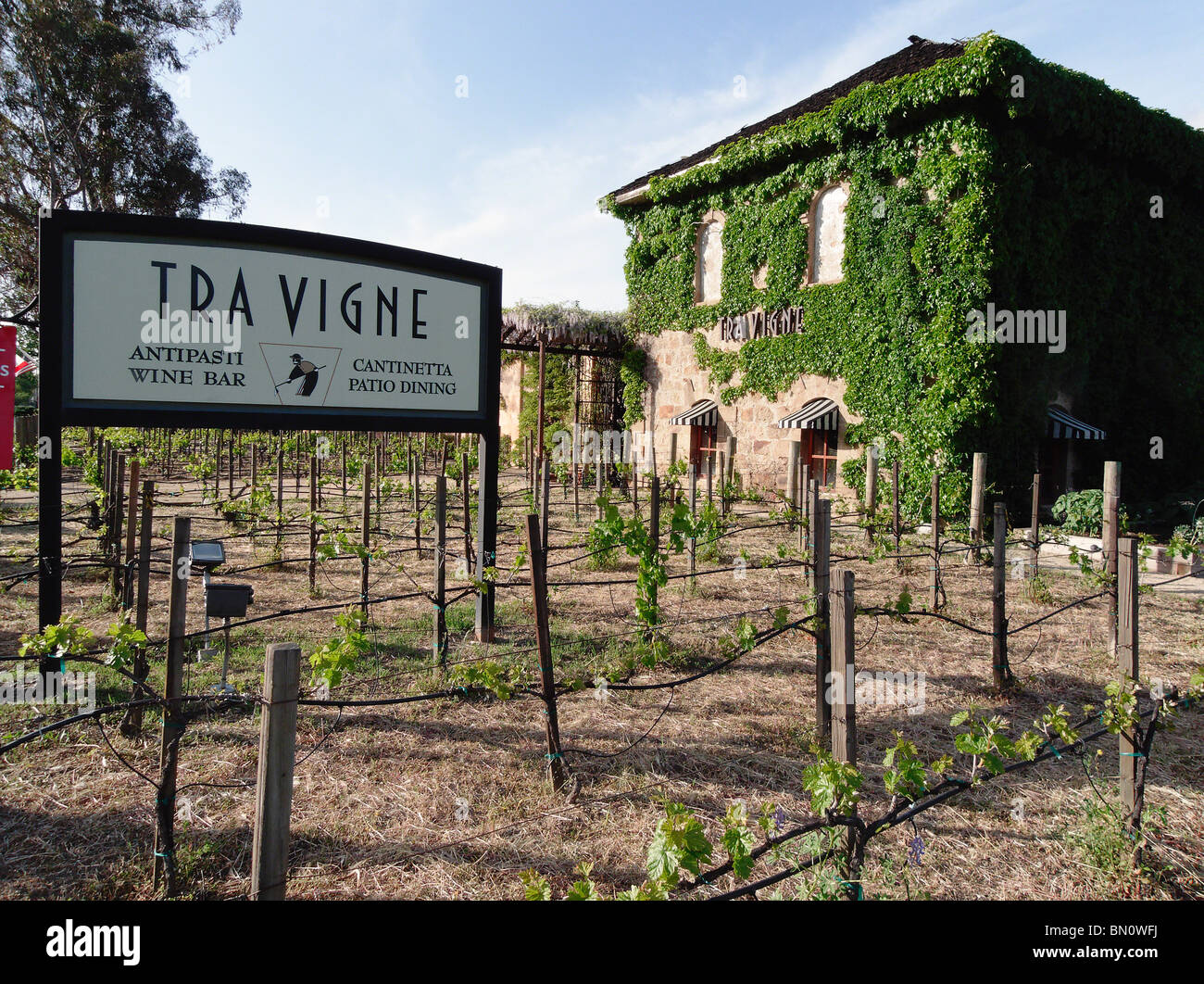View of a Tuscan Style Building, Tra Vigne Restaurant, St Helena, Napa Valley, California Stock Photo